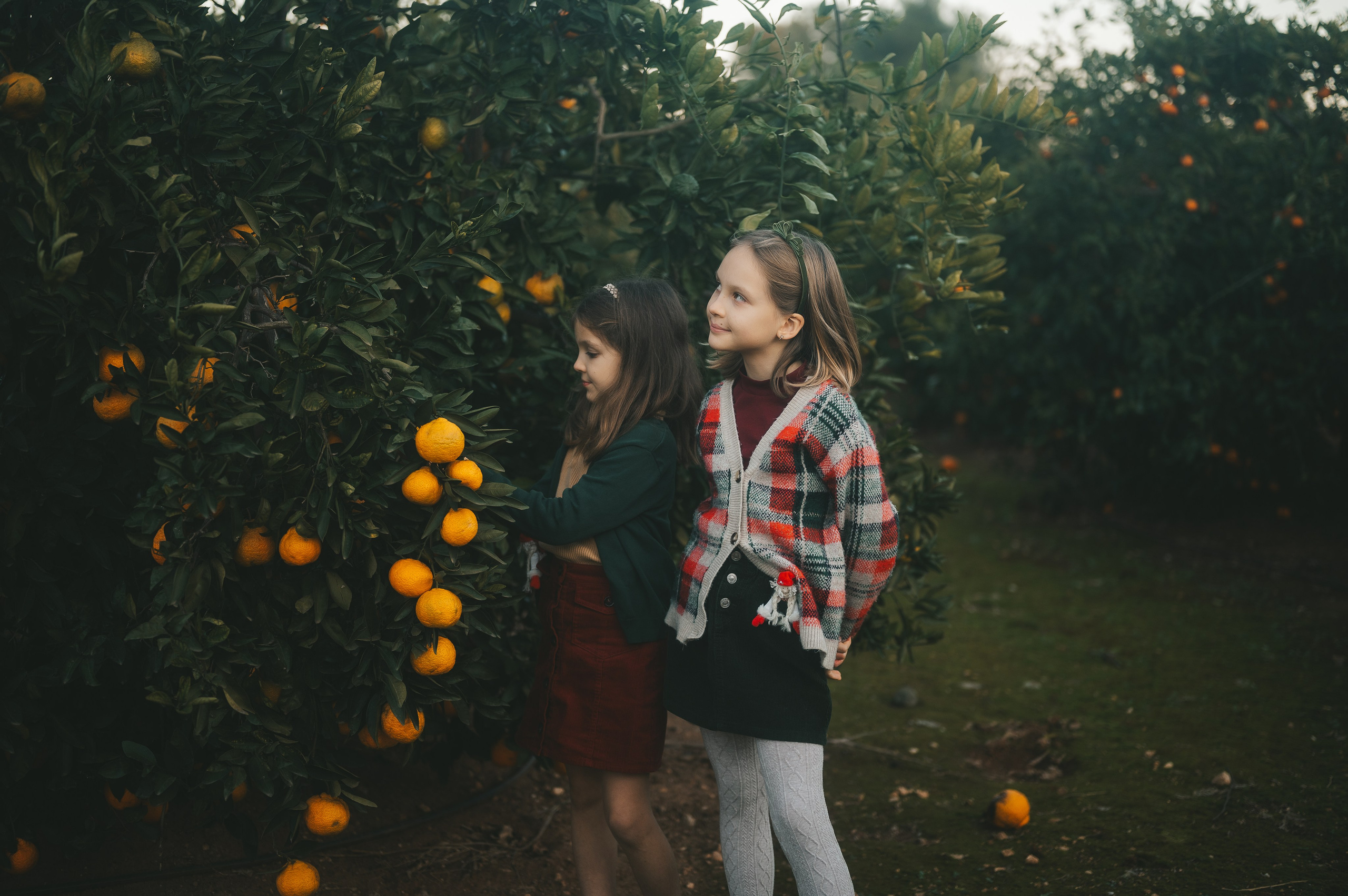 Tangerine Paradise. Тетяна Малишева - сімейний фотограф і відеограф у Валенсії, Іспанія