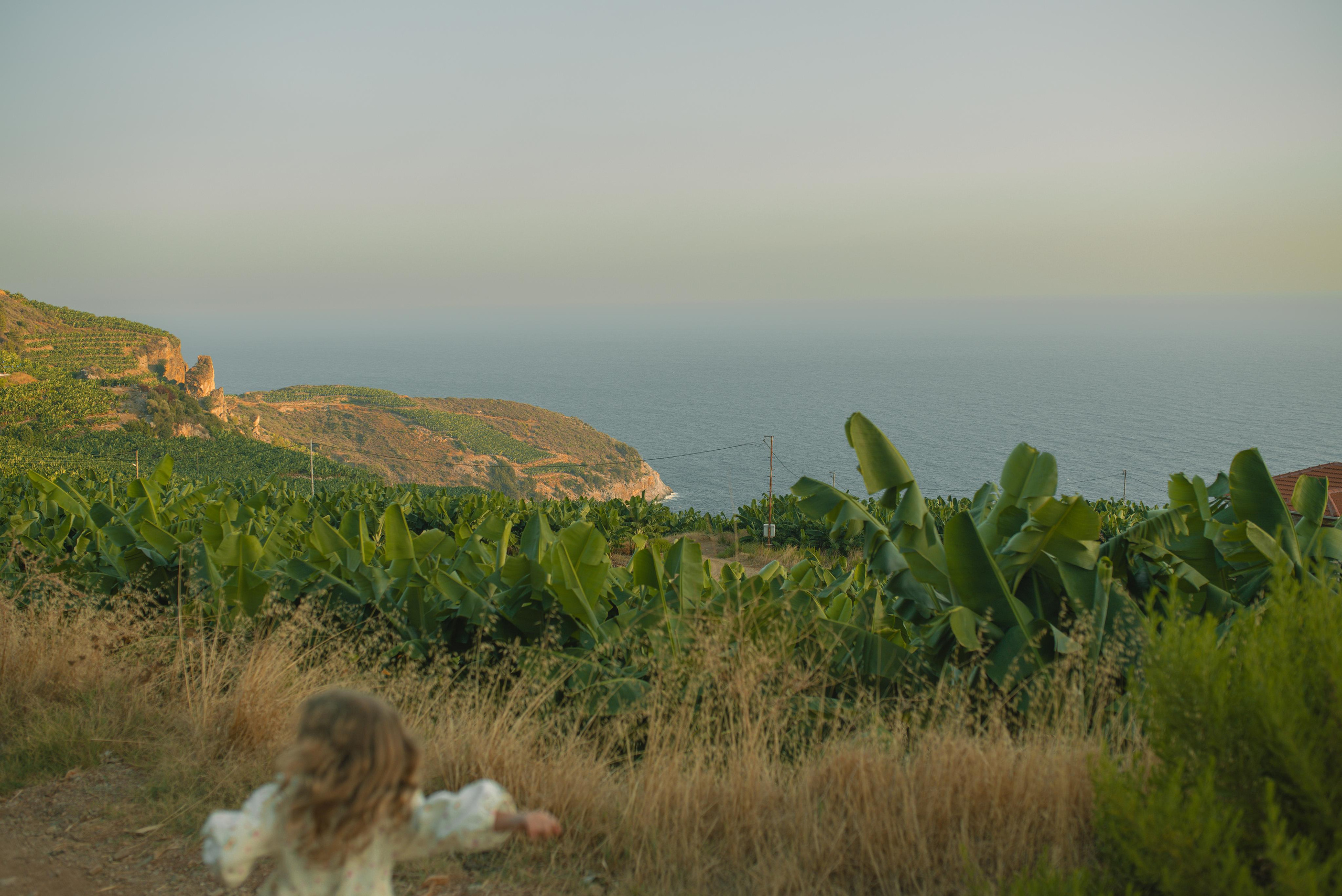 Sergiy, Diana, Sasha and Masha. Татьяна Малышева — семейный фотограф и видеограф в Валенсии, Испания