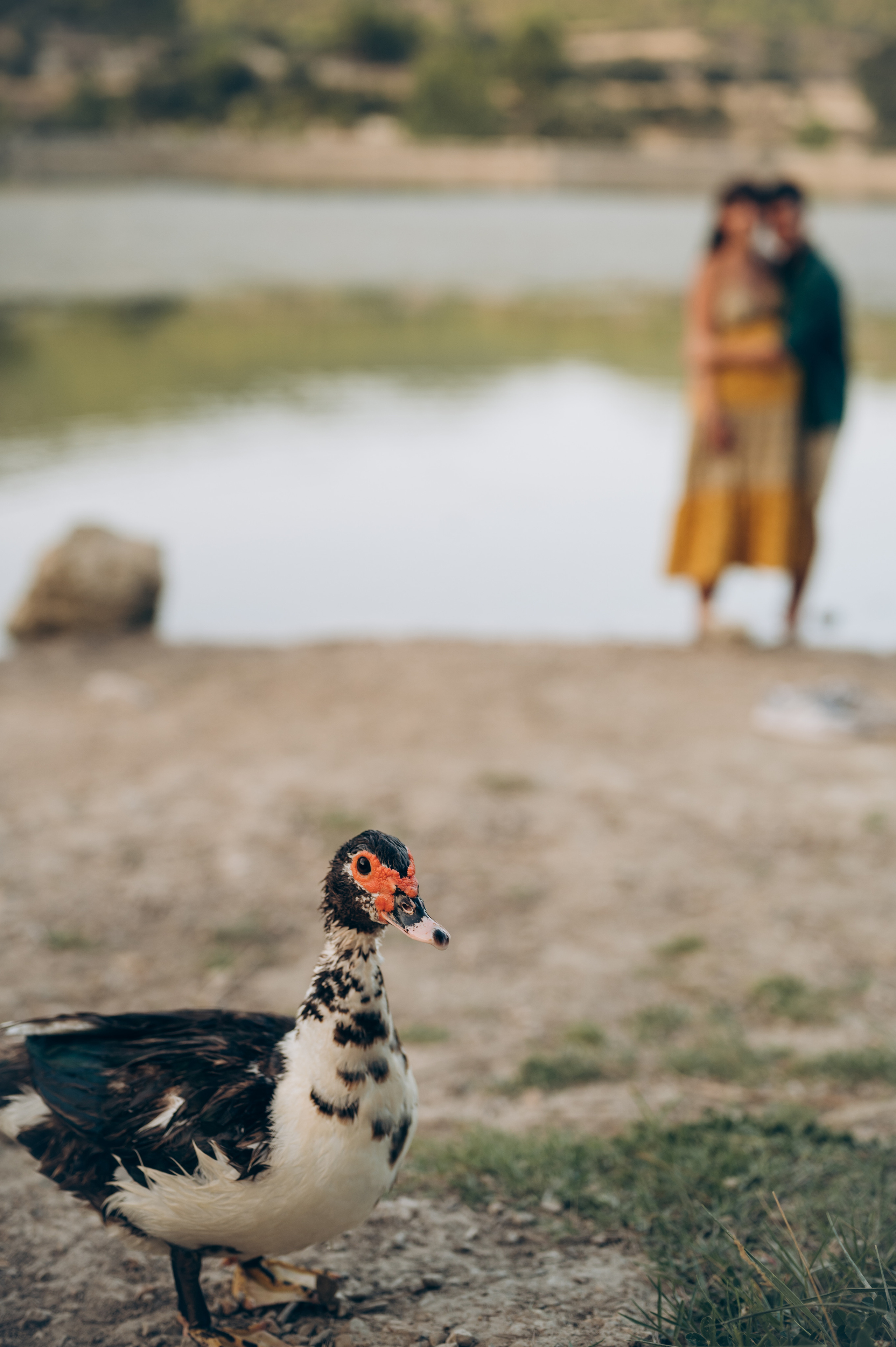 Dima & Yulia. Тетяна Малишева - сімейний фотограф і відеограф у Валенсії, Іспанія