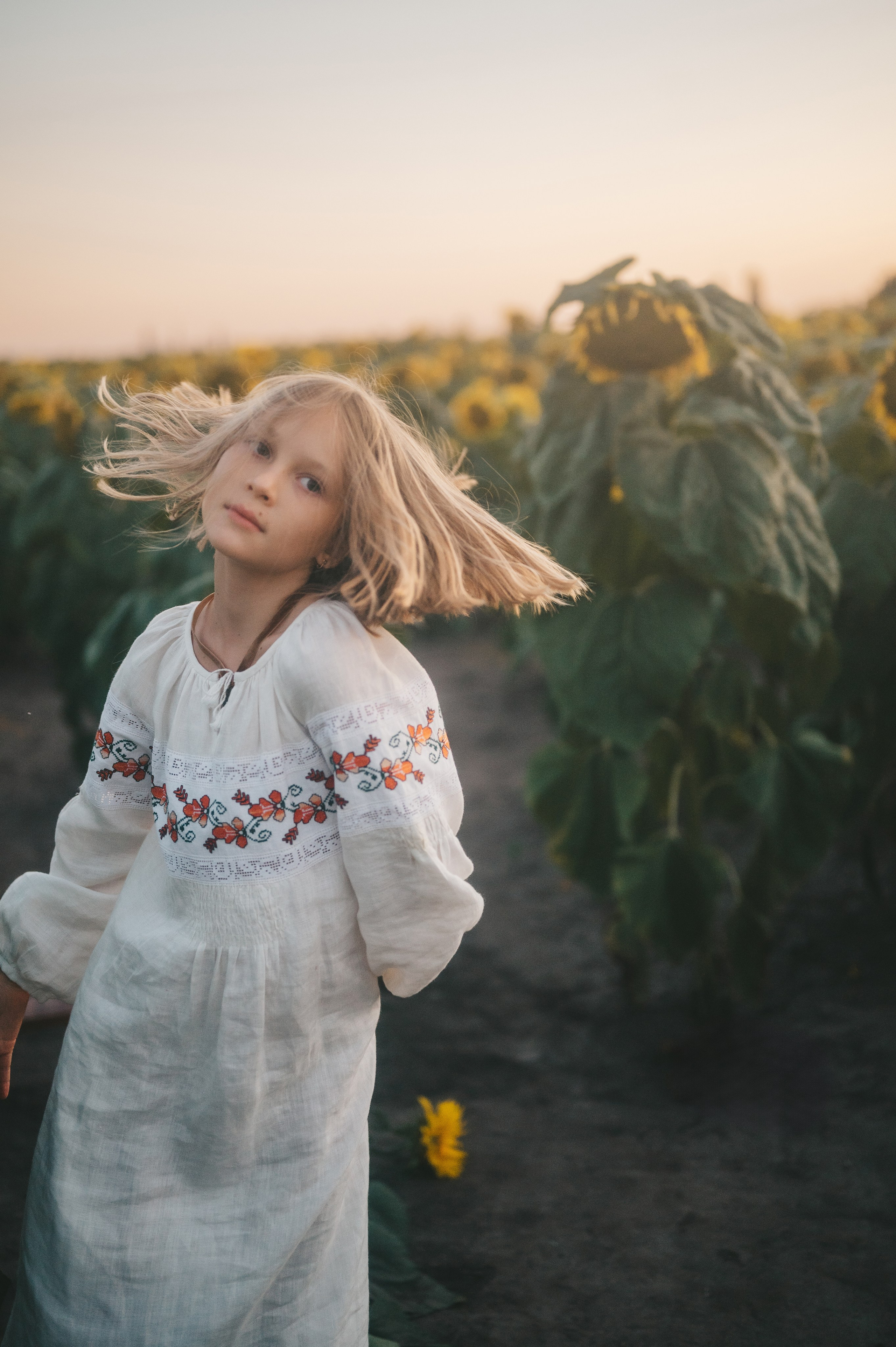 Sunflower field. Татьяна Малышева — семейный фотограф и видеограф в Валенсии, Испания