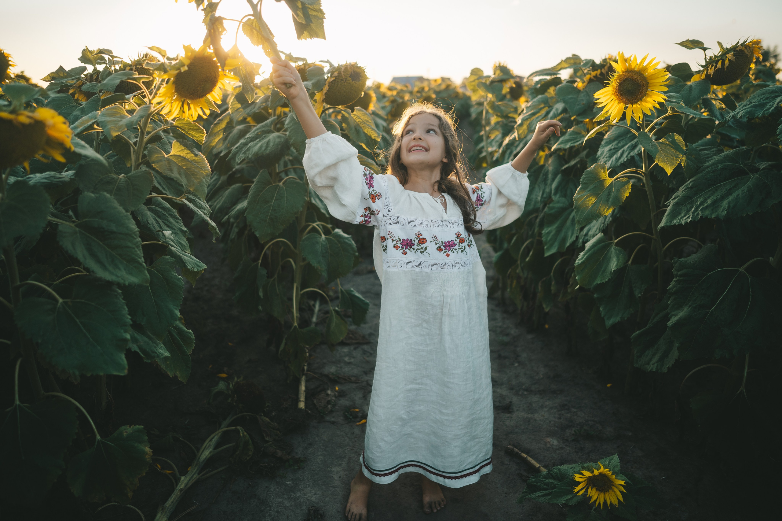 Sunflower field. Татьяна Малышева — семейный фотограф и видеограф в Валенсии, Испания