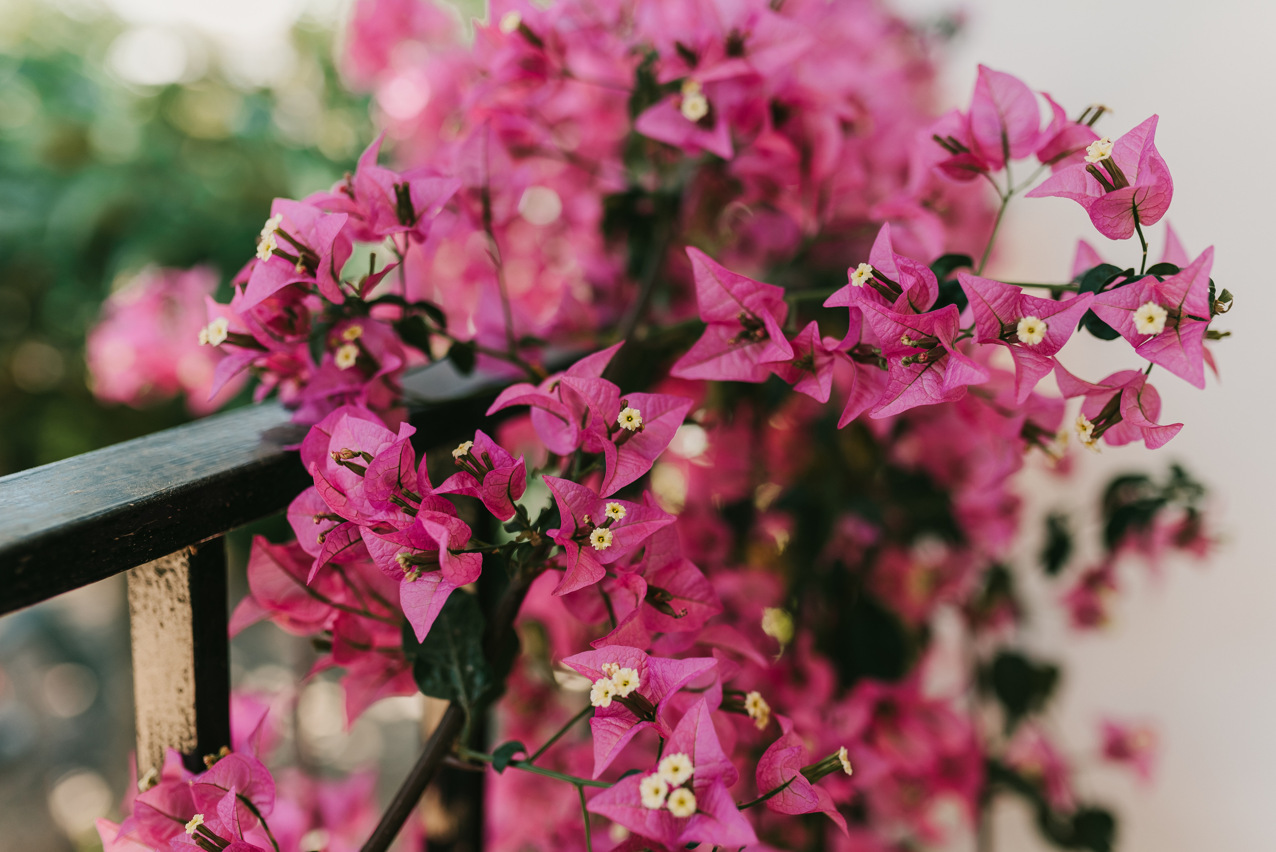 ЩО ВАМ ПОТРІБНО ЗНАТИ, ЯКЩО ВИ ХОЧЕТЕ ДО МЕНЕ НА ЗЙОМКУ. Татьяна Малышева — семейный фотограф и видеограф в Валенсии, Испания