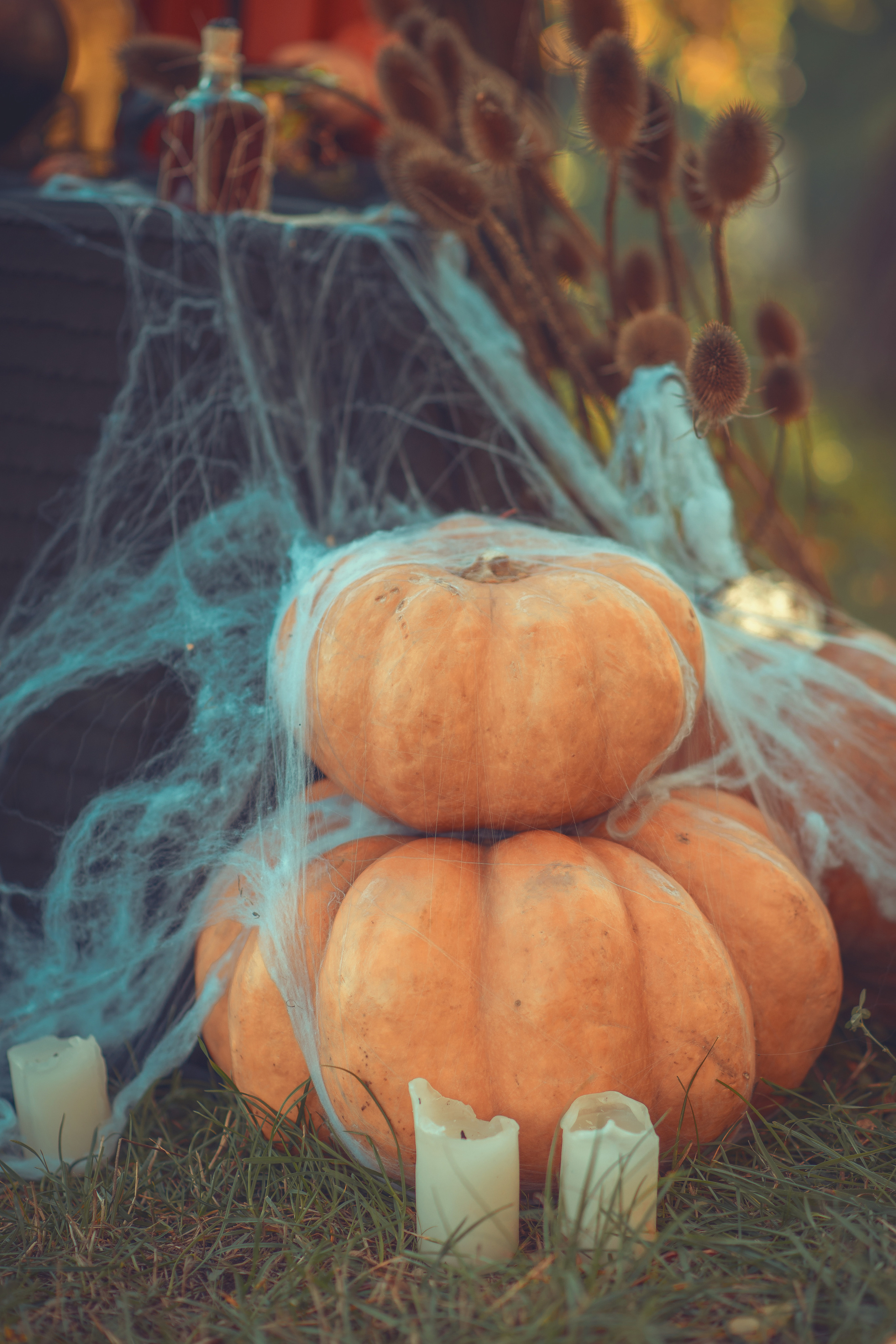 Little Witches. Tatiana Malysheva — family photographer and videographer in Valencia, Spain