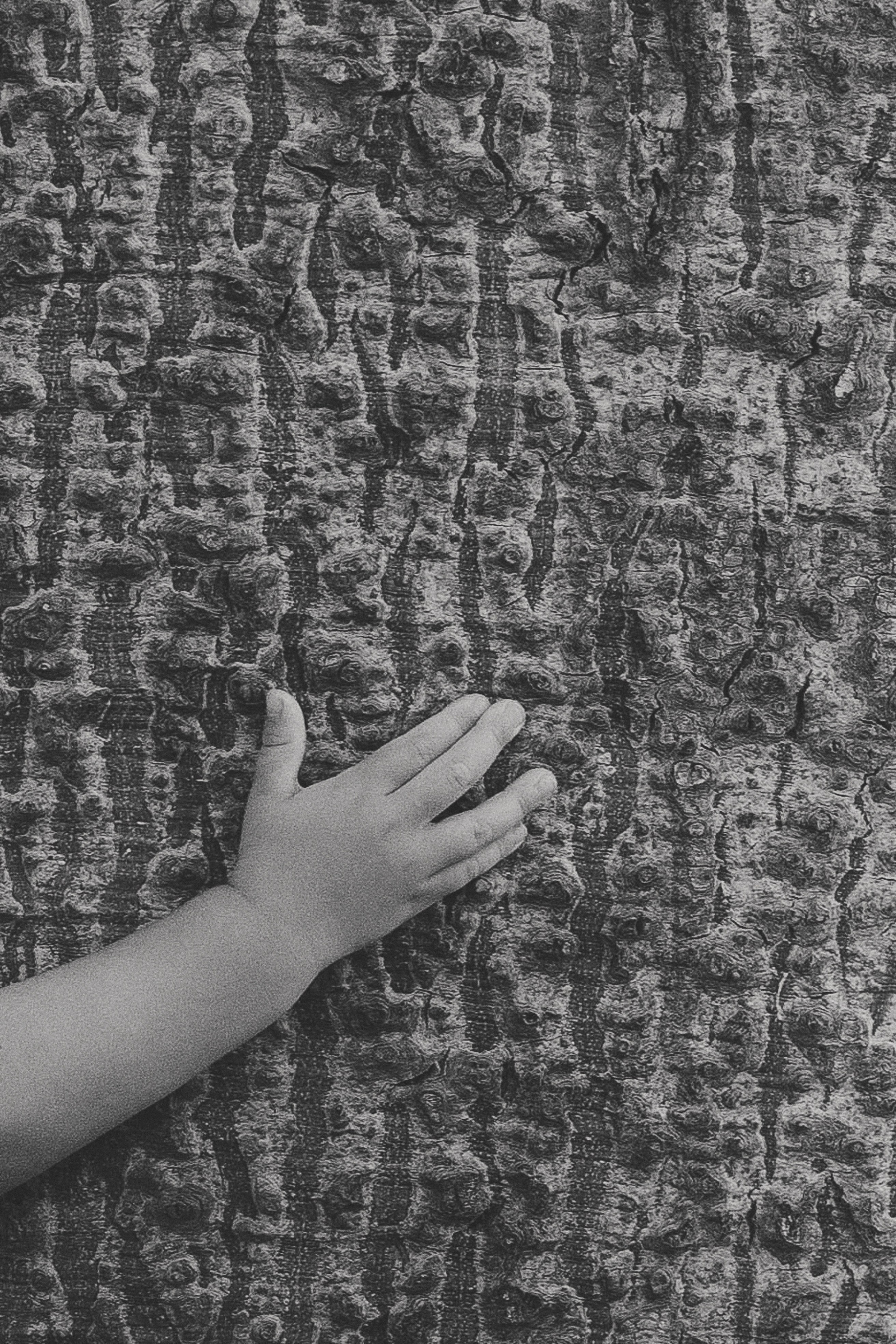 Denis, Oksana & Emily. Татьяна Малышева — семейный фотограф и видеограф в Валенсии, Испания