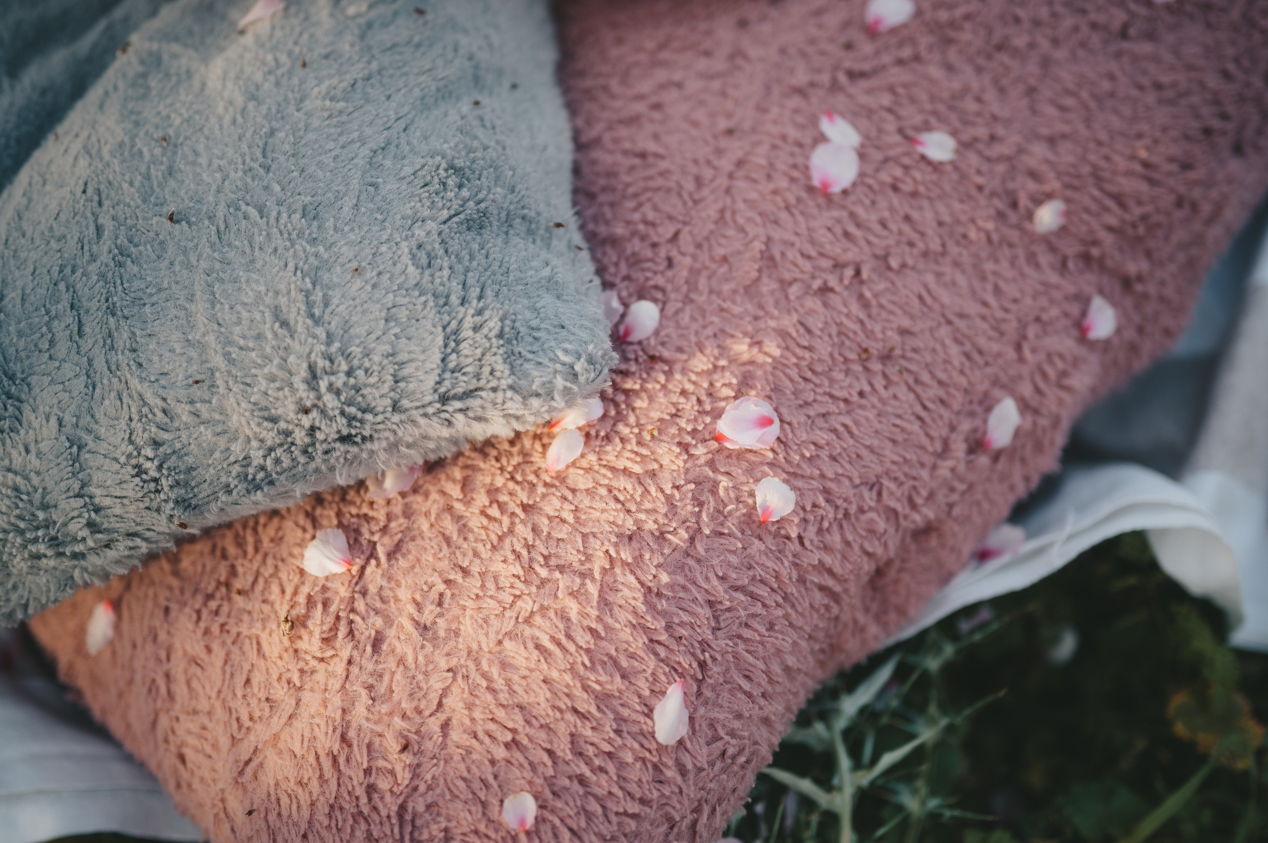 Pink Whispers. Тетяна Малишева - сімейний фотограф і відеограф у Валенсії, Іспанія