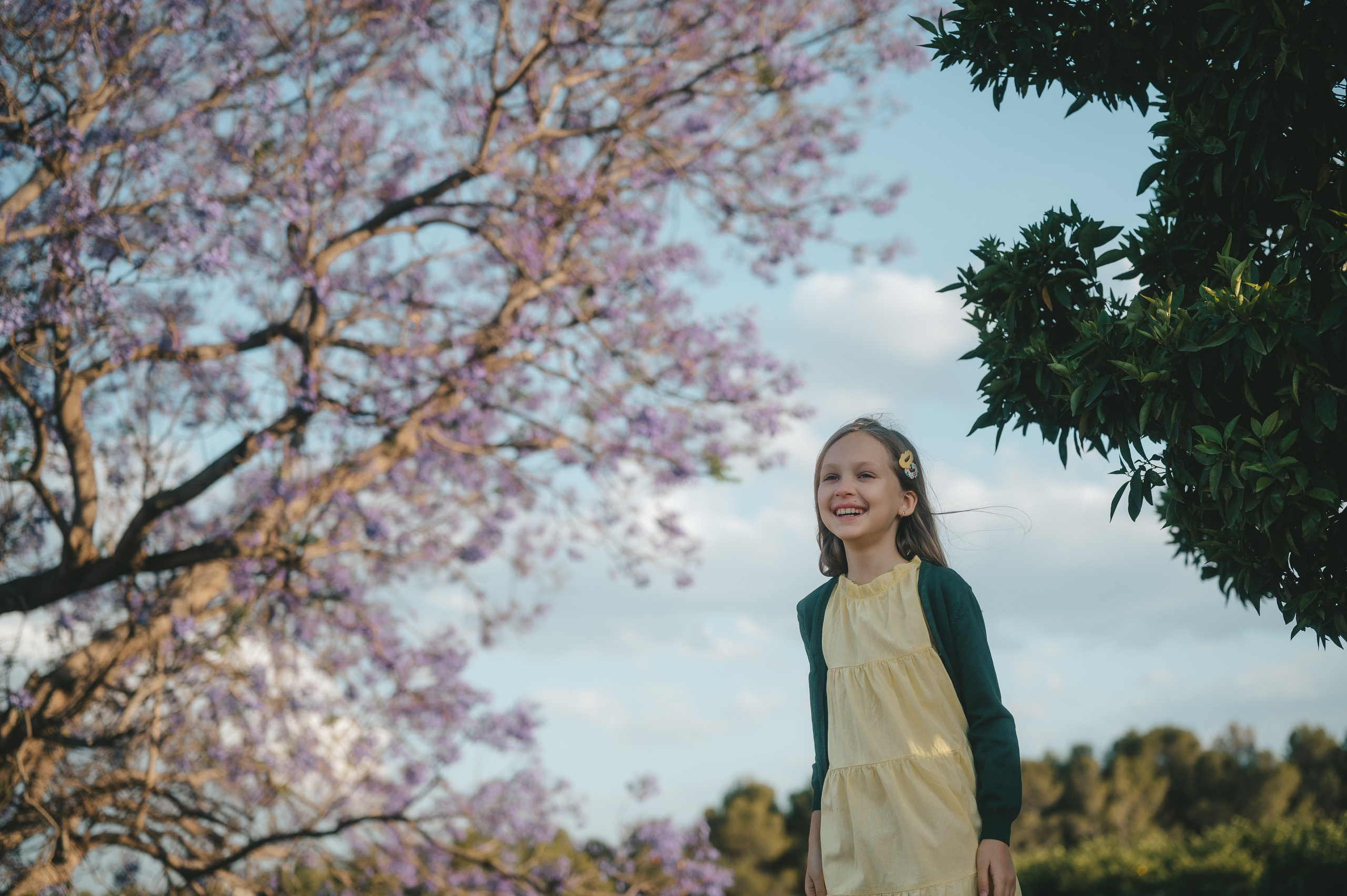 Jacaranda flowers. Tatiana Malysheva — family photographer and videographer in Valencia, Spain