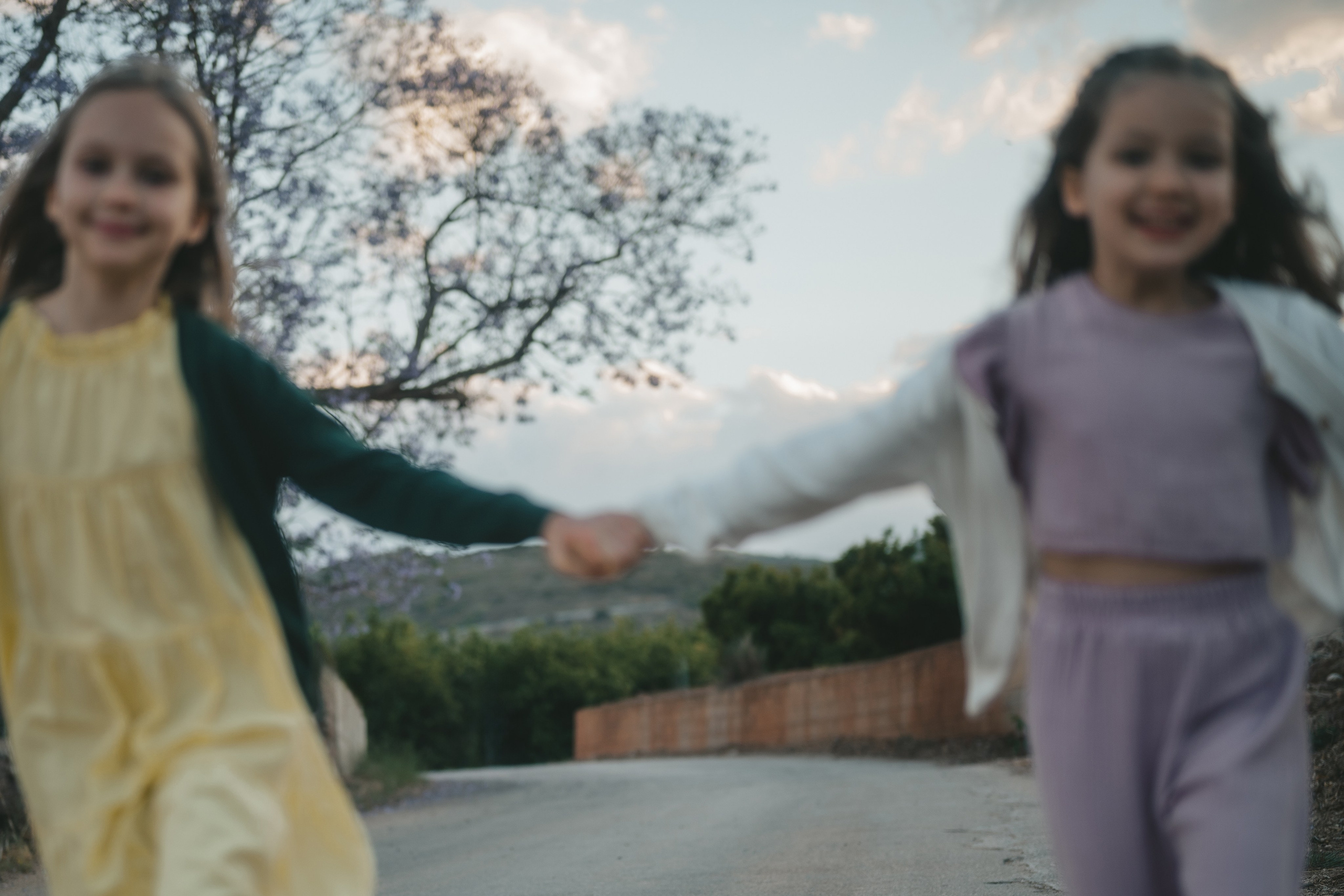 Jacaranda flowers. Tatiana Malysheva — family photographer and videographer in Valencia, Spain