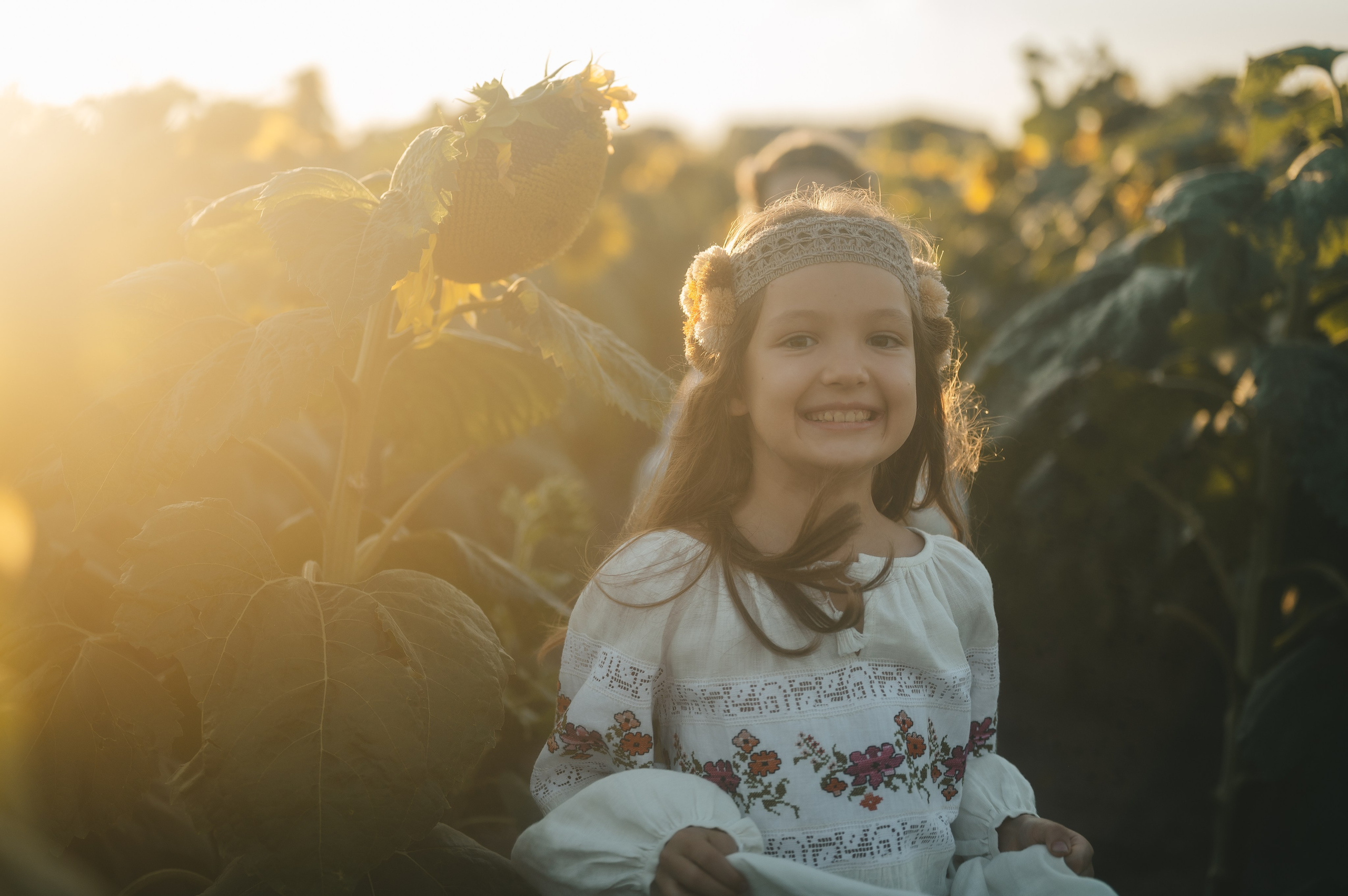 Sunflower field. Татьяна Малышева — семейный фотограф и видеограф в Валенсии, Испания