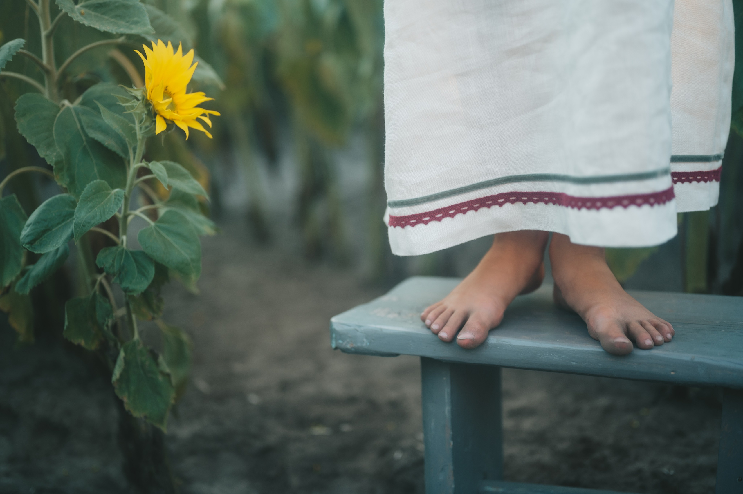 Sunflower field. Татьяна Малышева — семейный фотограф и видеограф в Валенсии, Испания