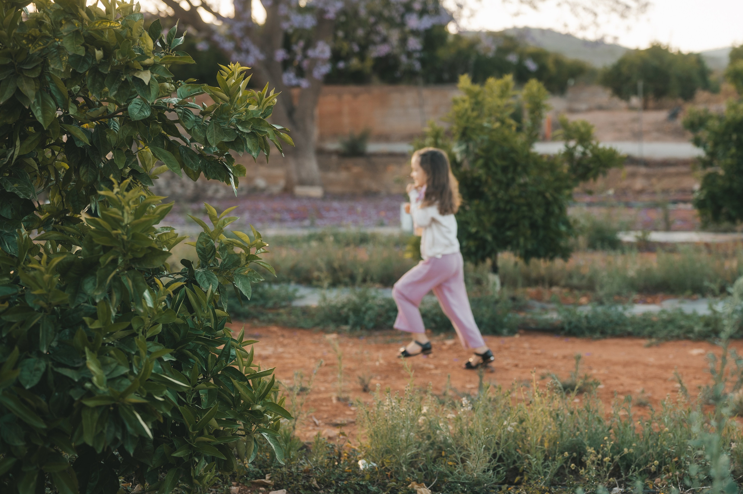 Jacaranda flowers. Tatiana Malysheva — family photographer and videographer in Valencia, Spain