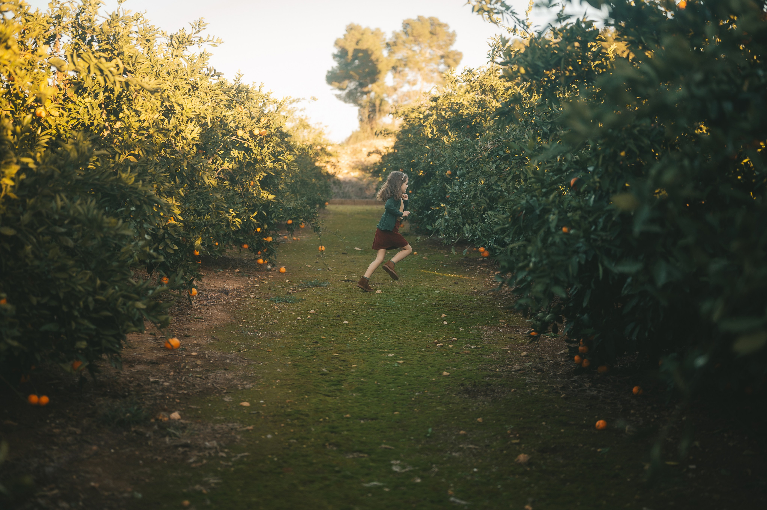 Tangerine Paradise. Тетяна Малишева - сімейний фотограф і відеограф у Валенсії, Іспанія