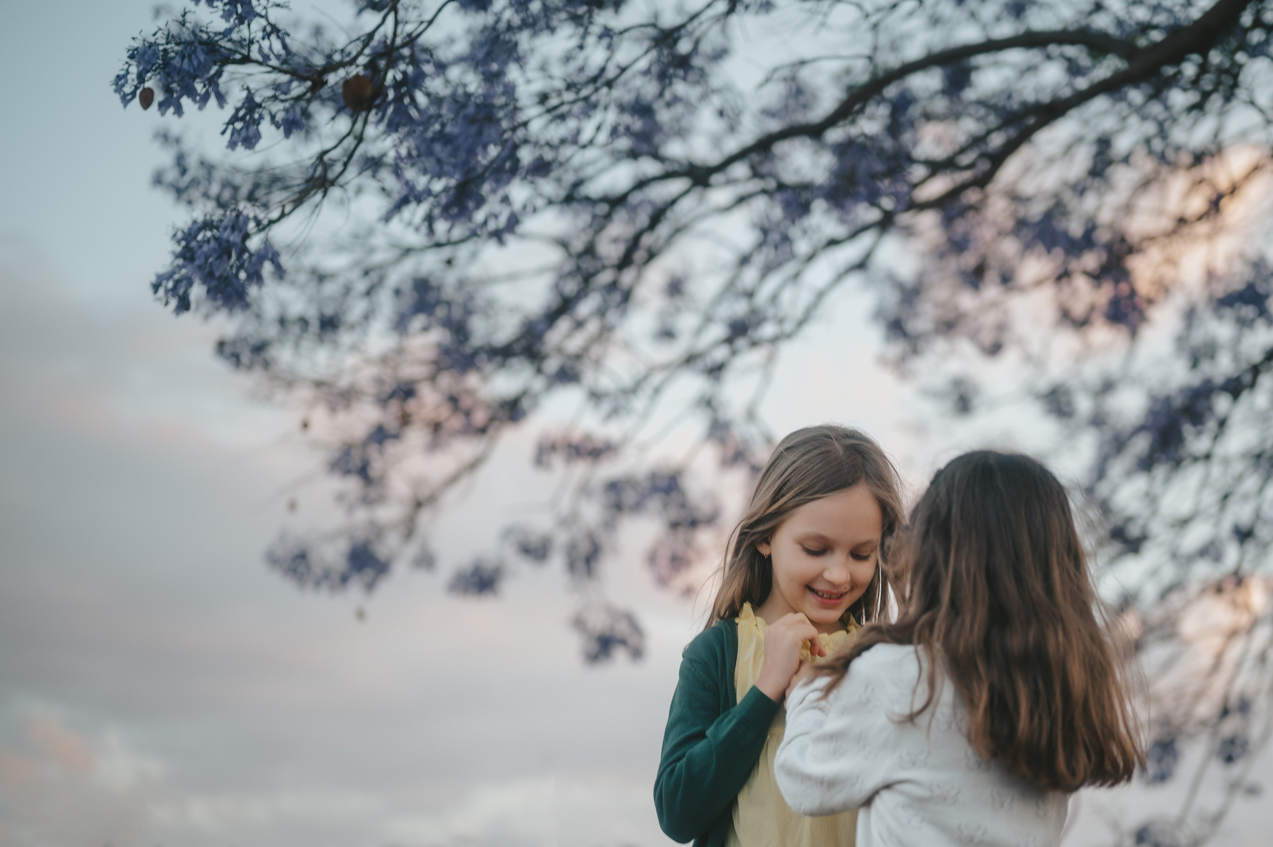Jacaranda flowers. Tatiana Malysheva — family photographer and videographer in Valencia, Spain