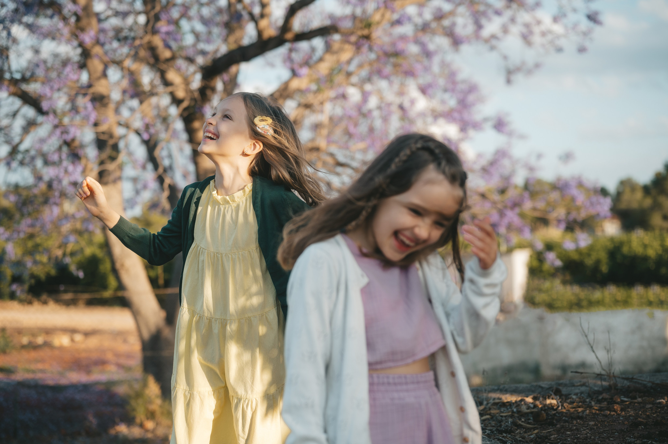 Jacaranda flowers. Tatiana Malysheva — family photographer and videographer in Valencia, Spain