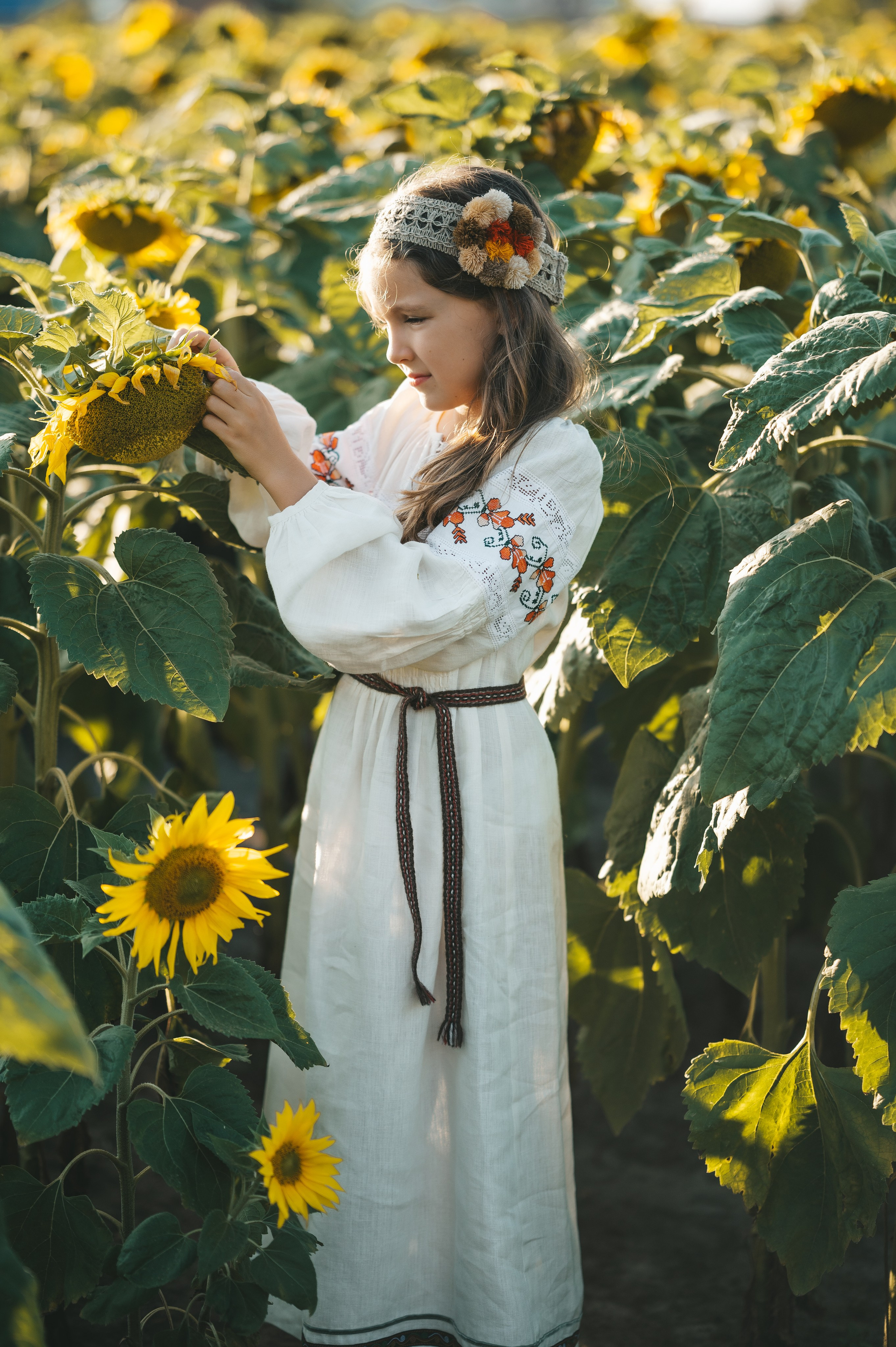 Sunflower field. Татьяна Малышева — семейный фотограф и видеограф в Валенсии, Испания