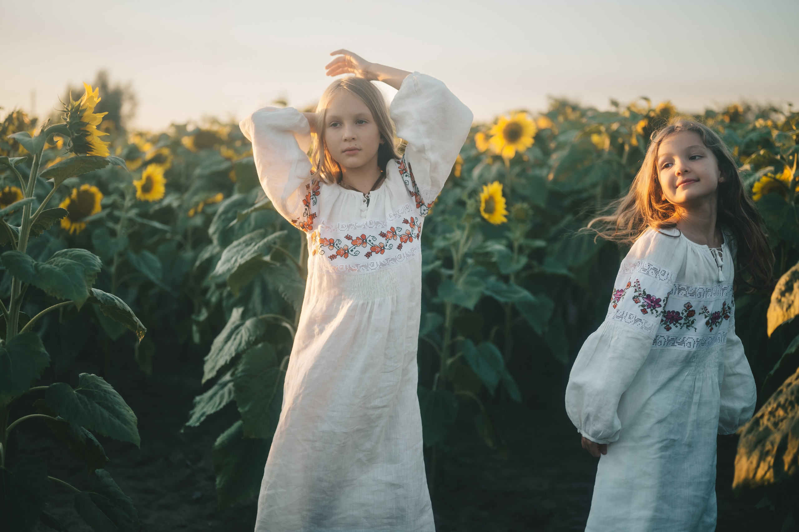 Sunflower field. Татьяна Малышева — семейный фотограф и видеограф в Валенсии, Испания