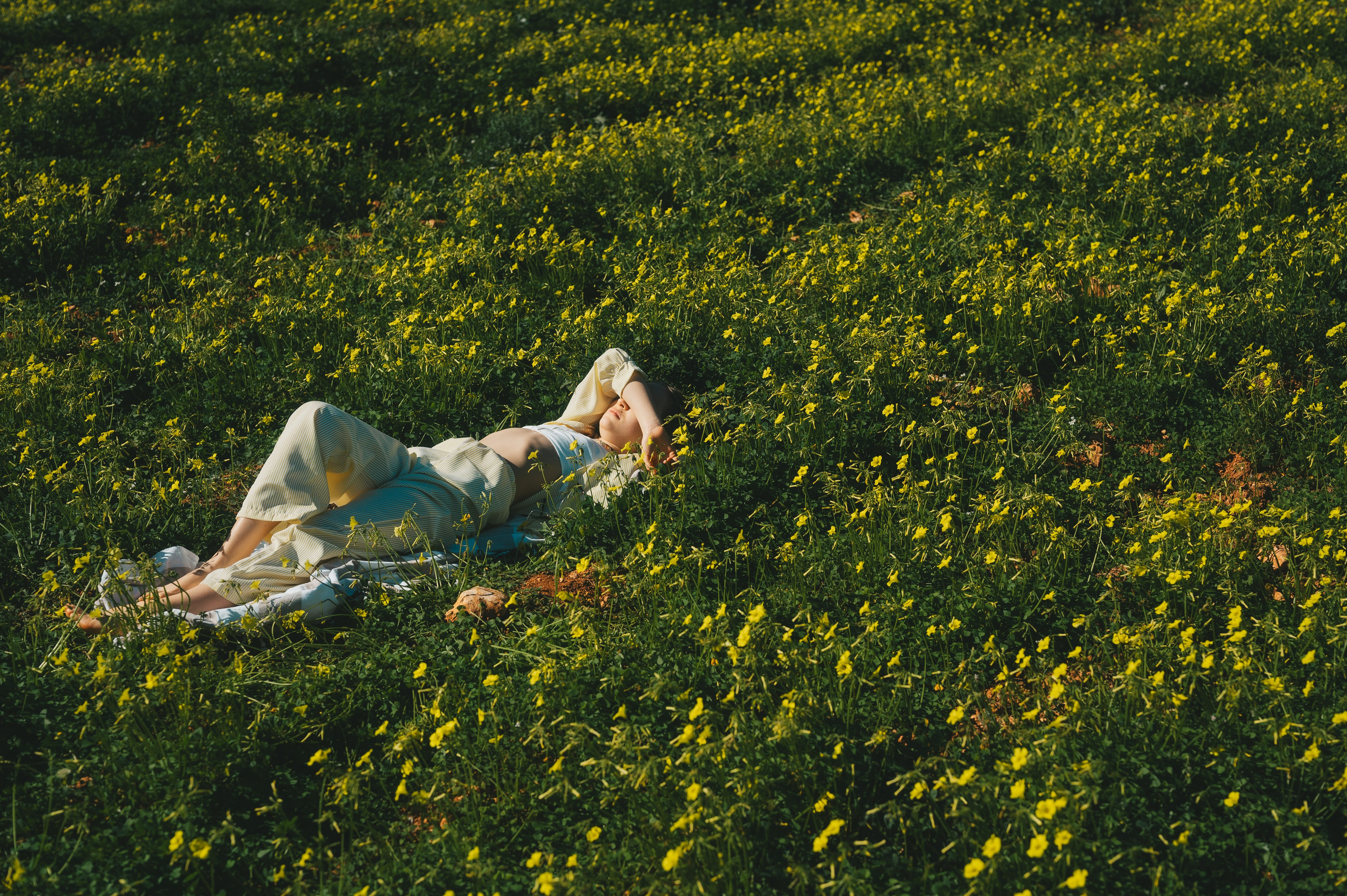 Sunshine Catcher. Tatiana Malysheva — lifestyle fotógrafa y videógrafa en Valencia, España