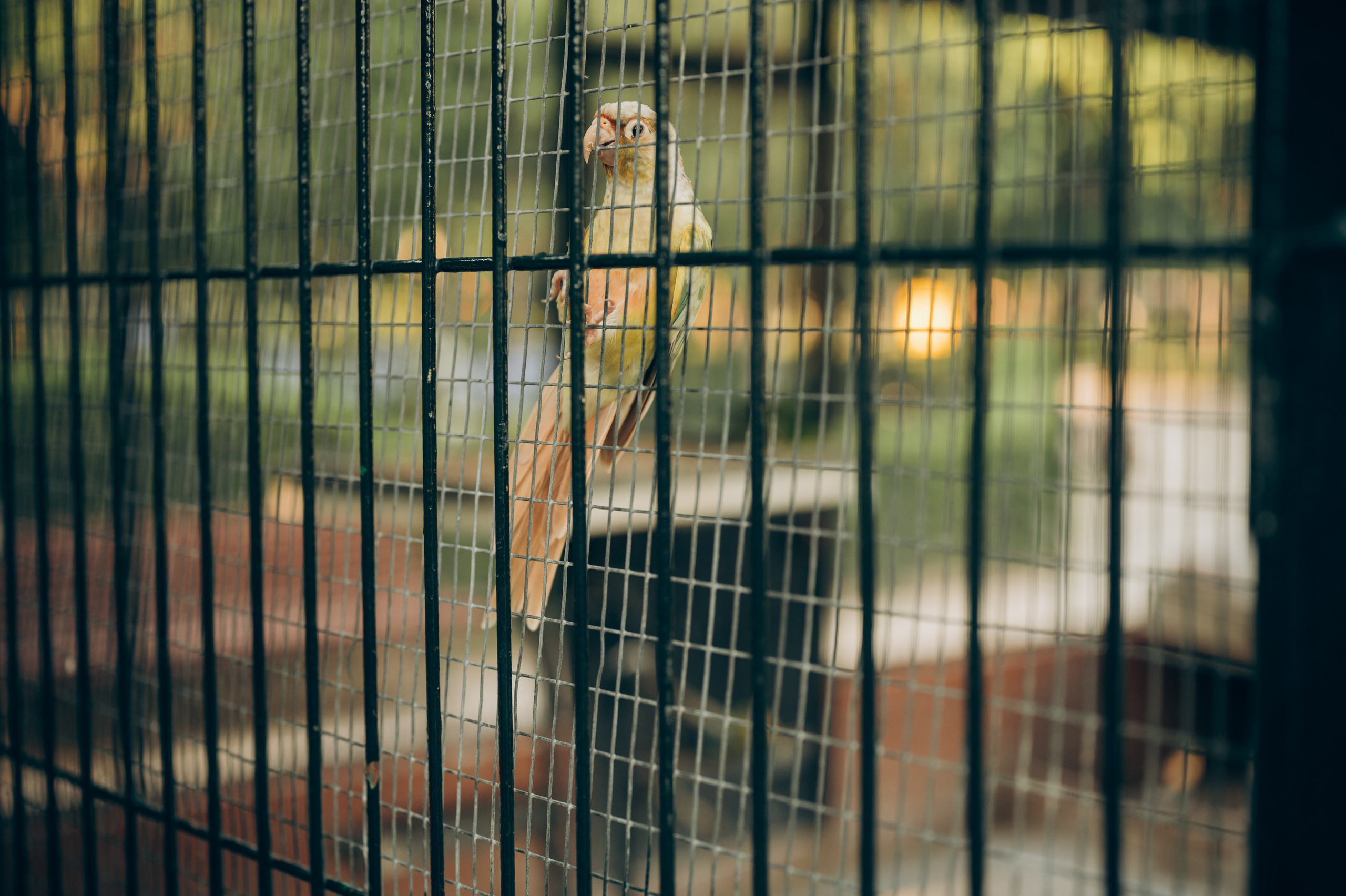 Ivan, Marina, Liza & Tima. Тетяна Малишева - сімейний фотограф і відеограф у Валенсії, Іспанія