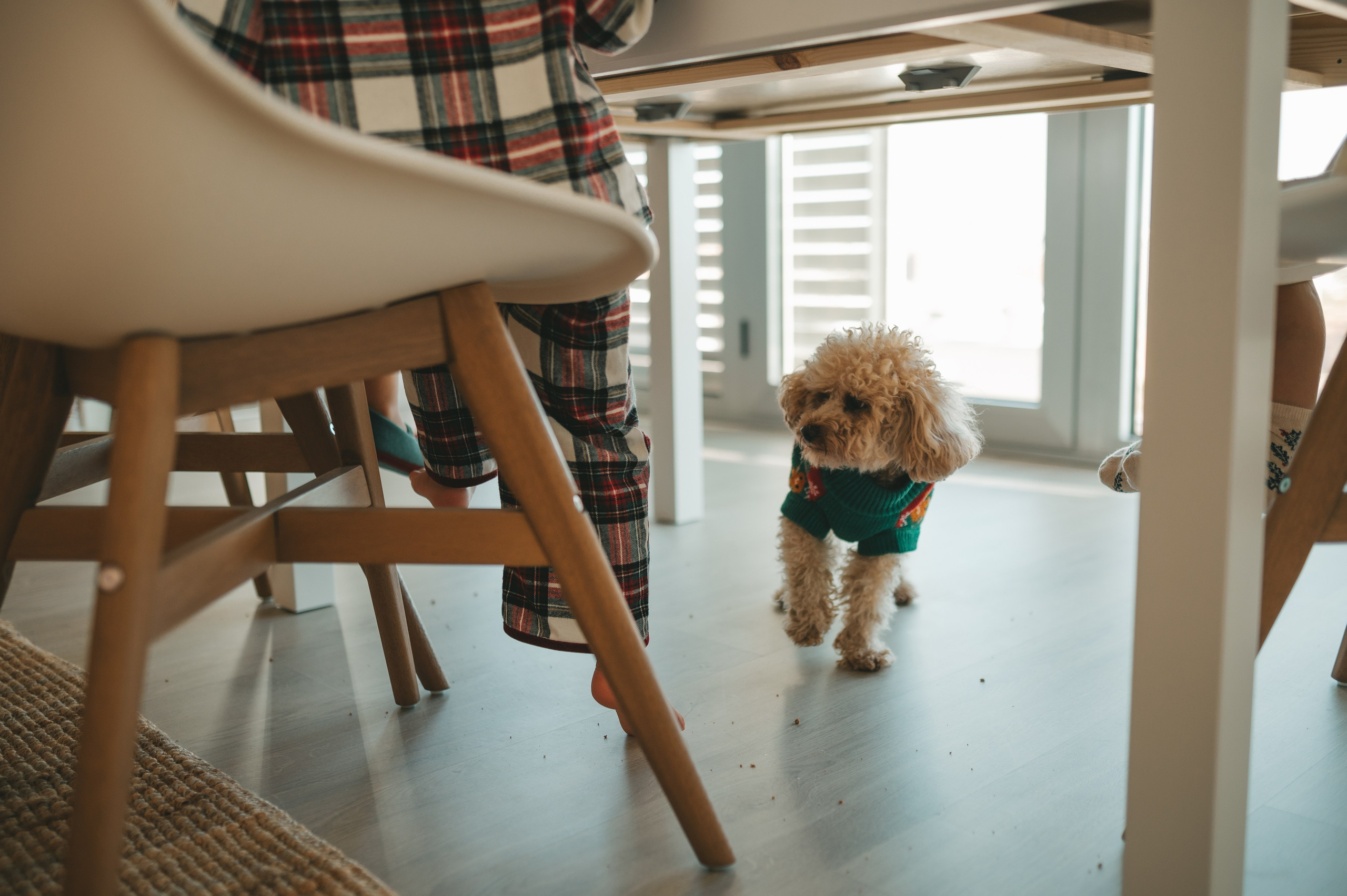 Christmas time. Тетяна Малишева - сімейний фотограф і відеограф у Валенсії, Іспанія