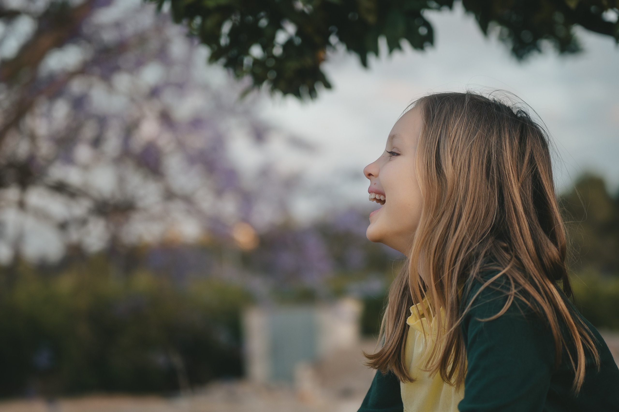 Jacaranda flowers. Tatiana Malysheva — family photographer and videographer in Valencia, Spain