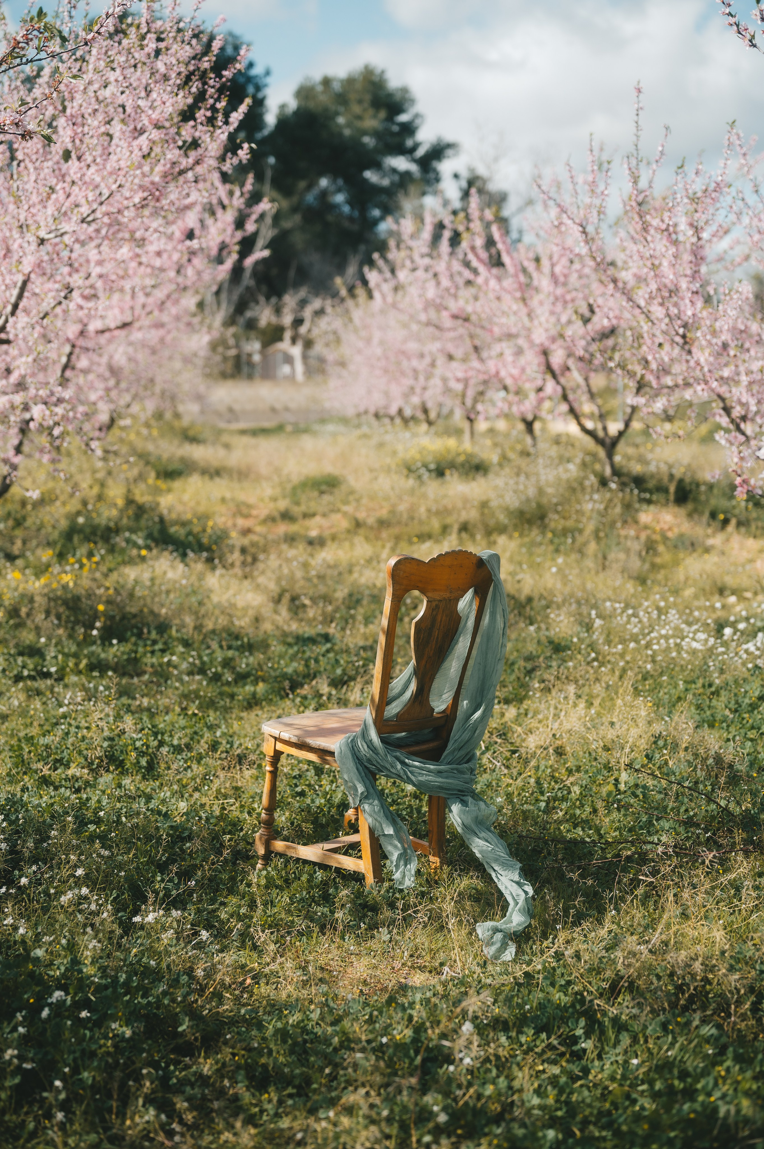 Almond blossom. Тетяна Малишева - сімейний фотограф і відеограф у Валенсії, Іспанія