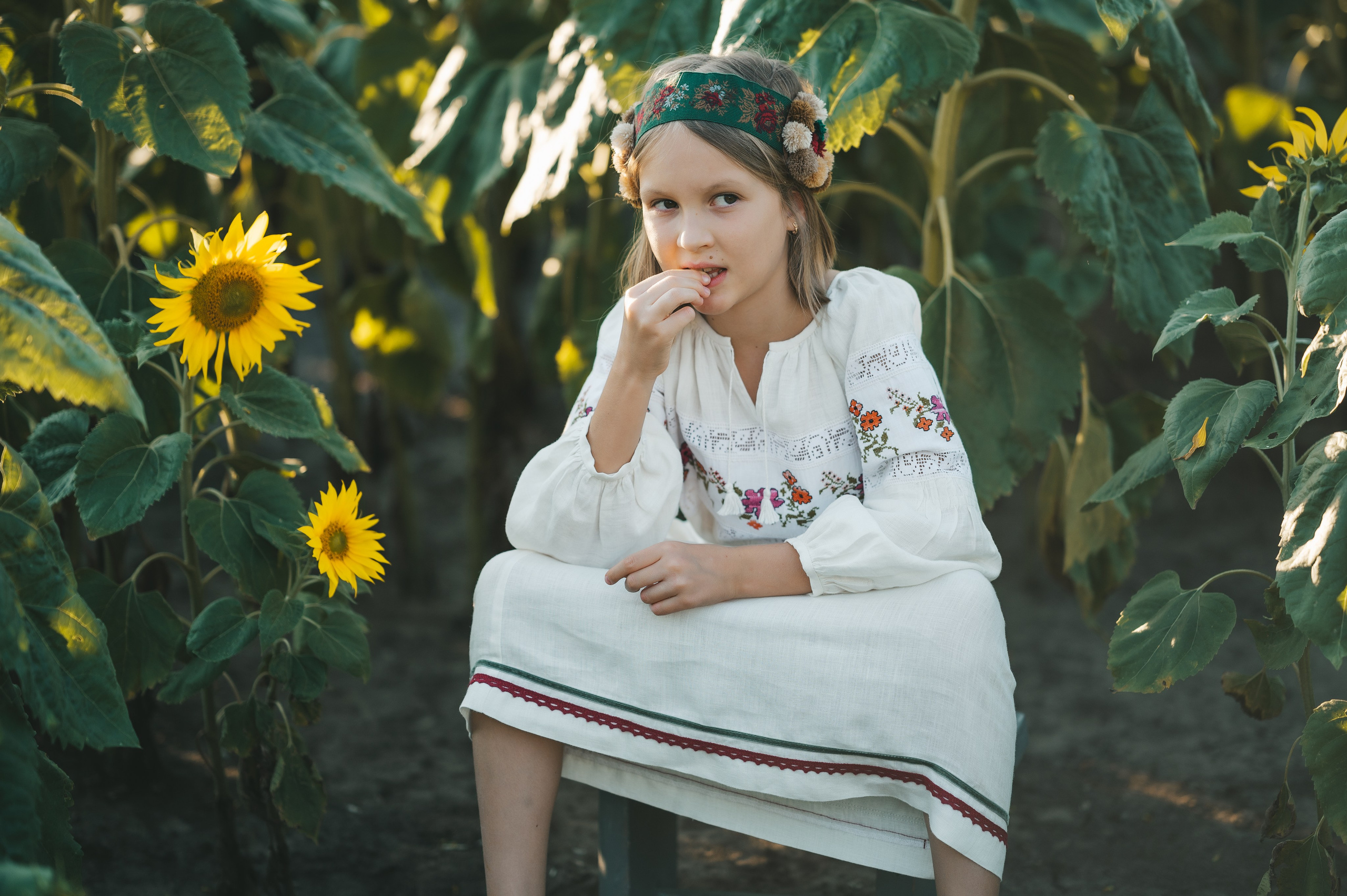 Sunflower field. Татьяна Малышева — семейный фотограф и видеограф в Валенсии, Испания