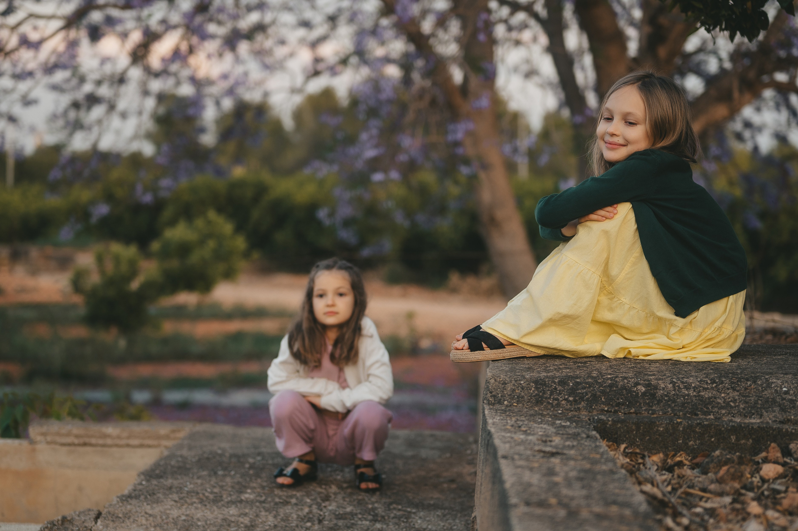 Jacaranda flowers. Tatiana Malysheva — family photographer and videographer in Valencia, Spain