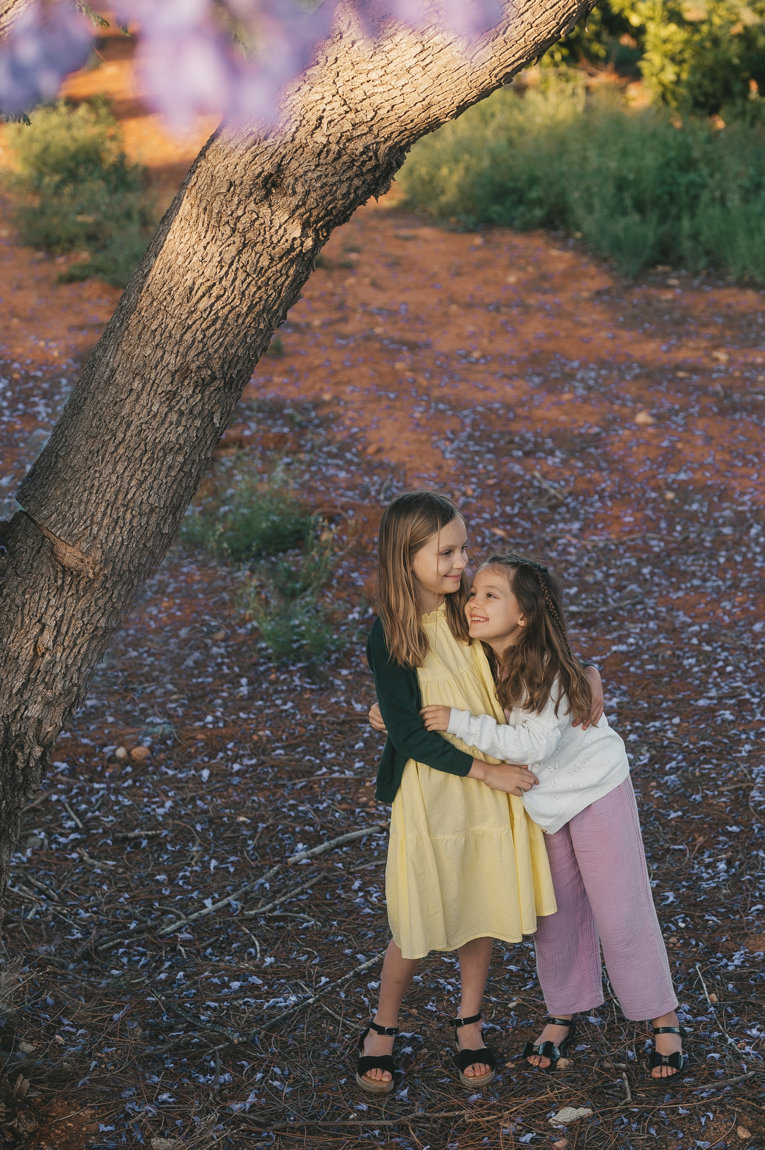 Jacaranda flowers. Tatiana Malysheva — family photographer and videographer in Valencia, Spain