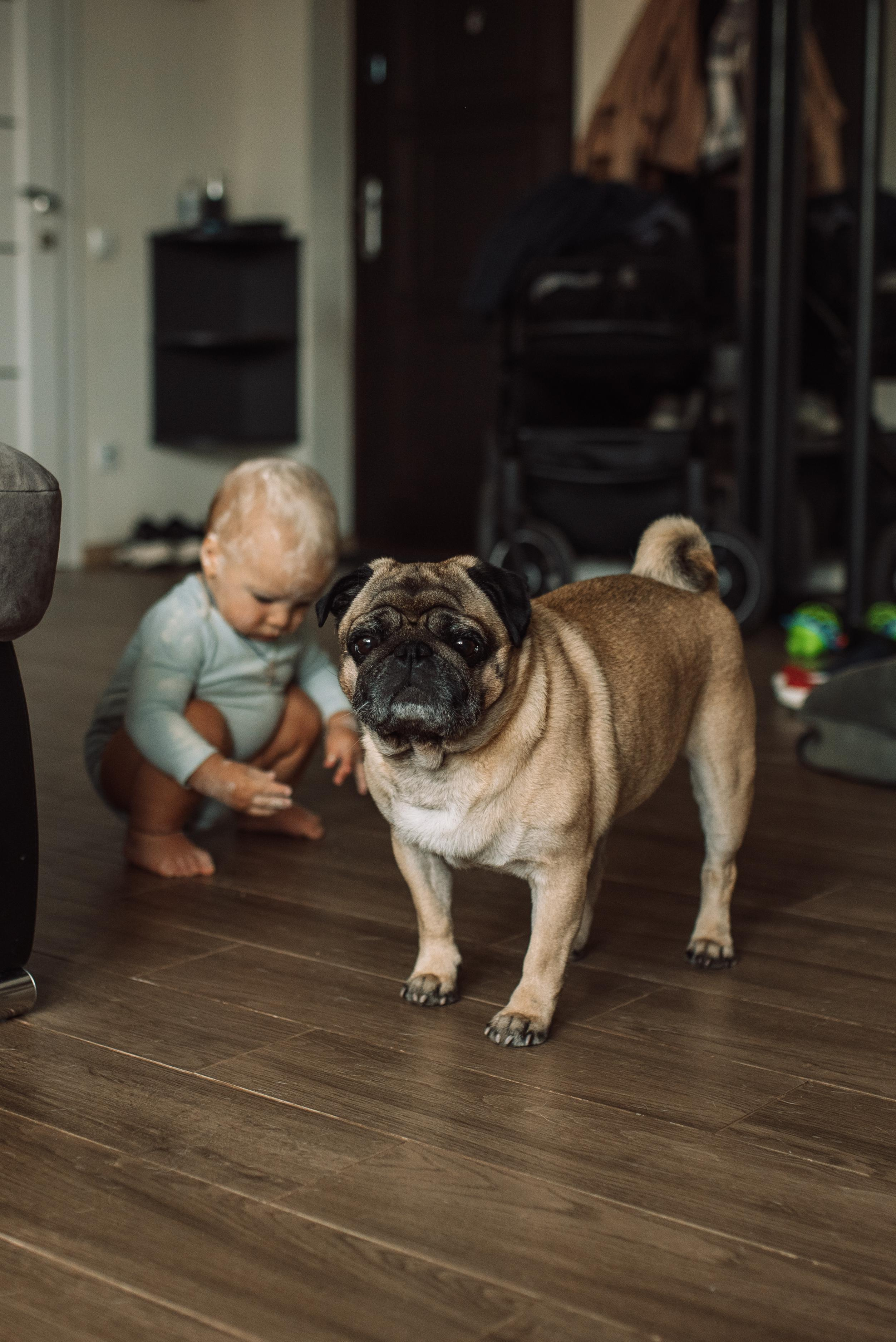 ДЕТИ НА ФОТОСЕССИЯХ. Татьяна Малышева — семейный фотограф и видеограф в Валенсии, Испания