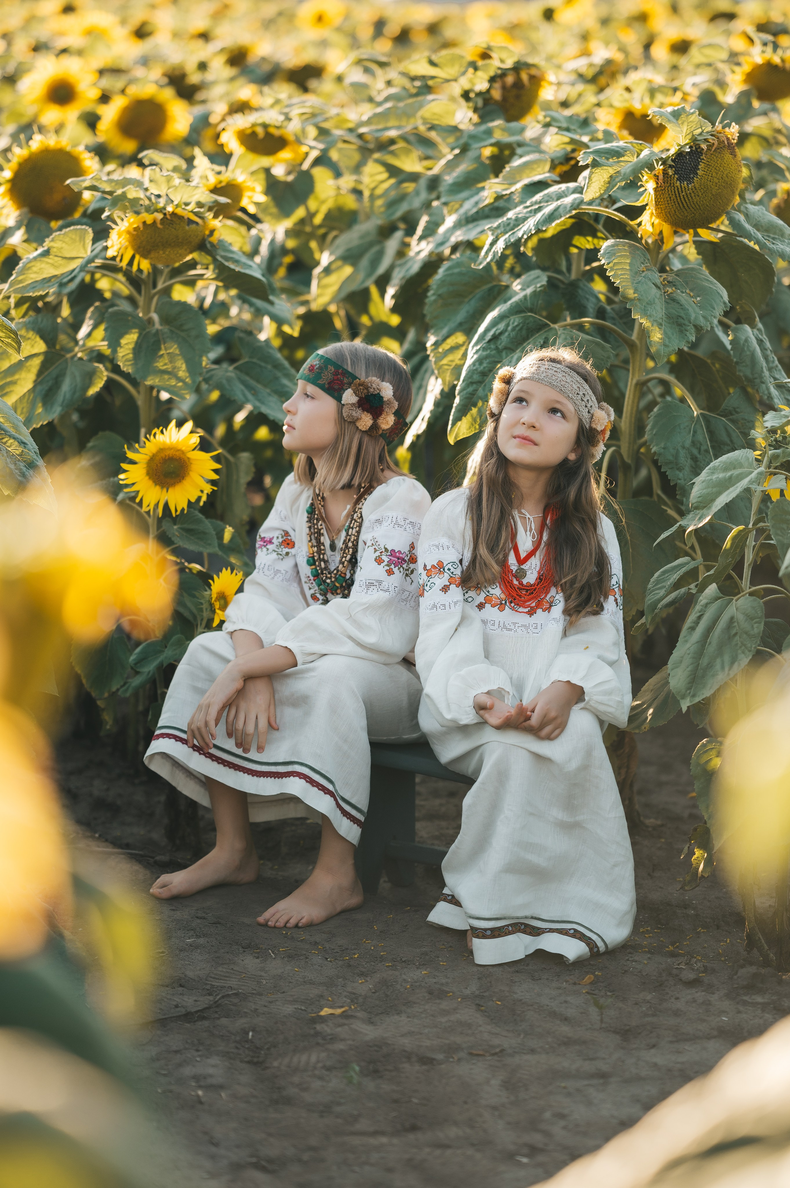 Sunflower field. Татьяна Малышева — семейный фотограф и видеограф в Валенсии, Испания