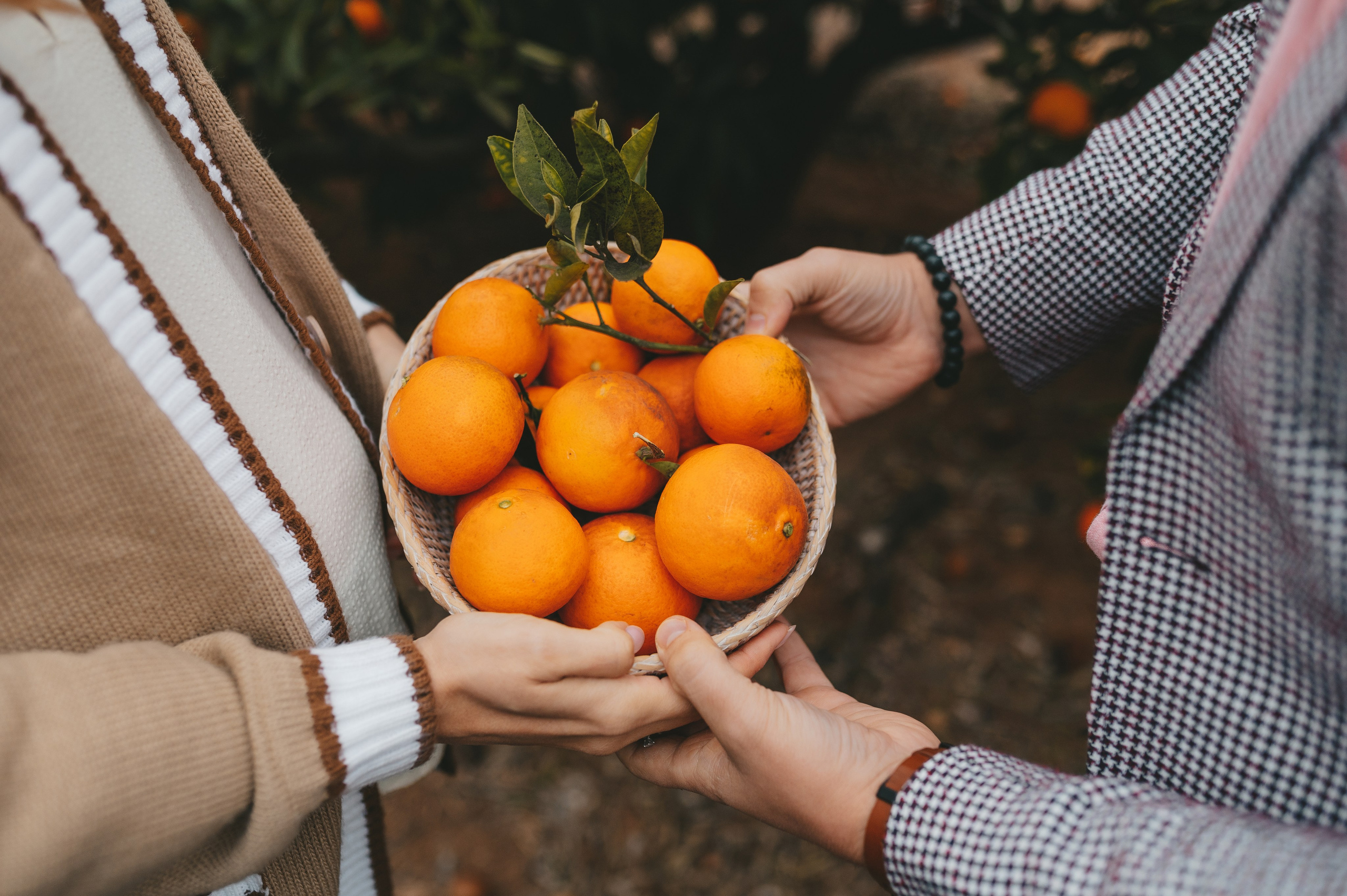 Anna & Eugene. Тетяна Малишева - сімейний фотограф і відеограф у Валенсії, Іспанія