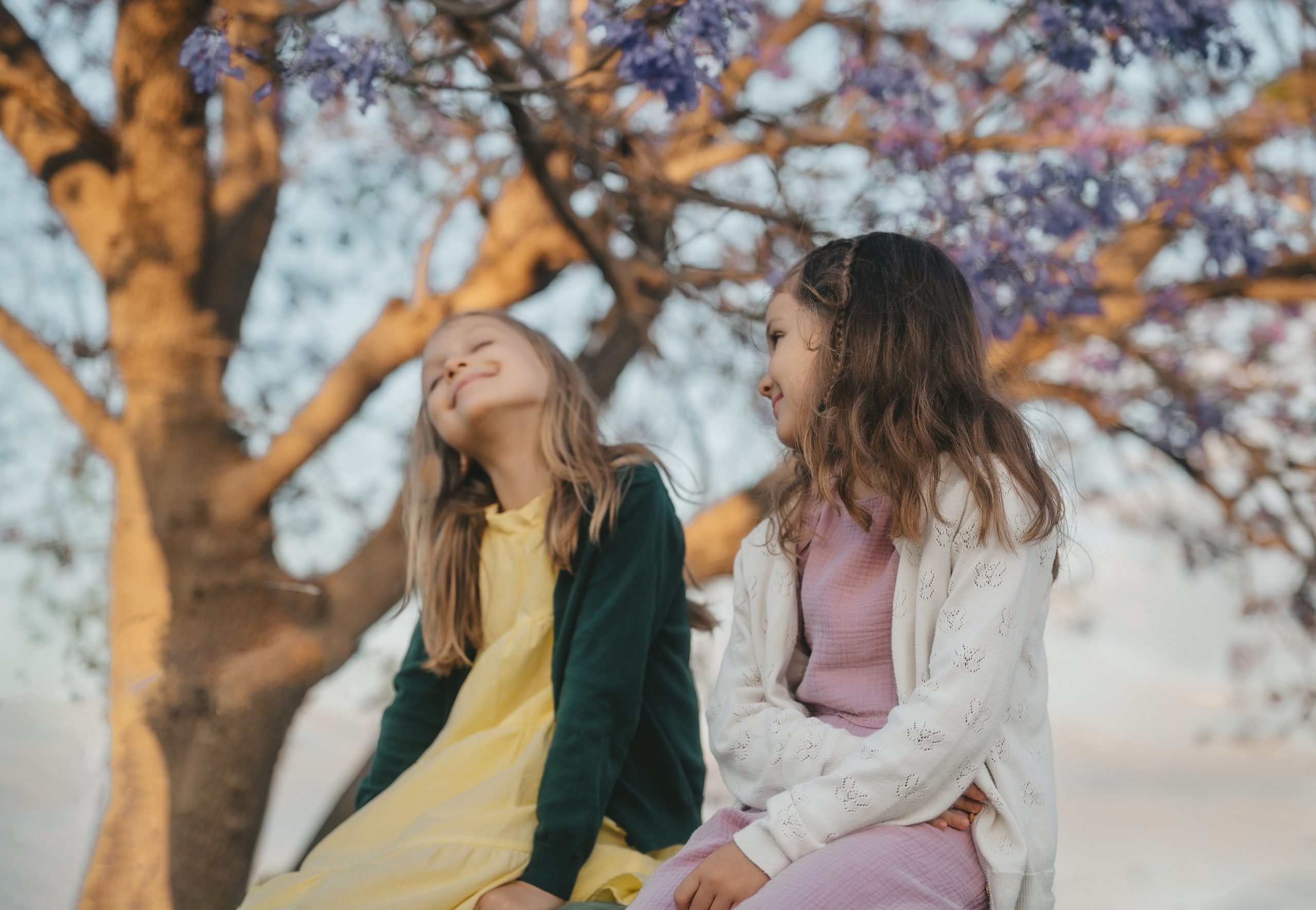 Jacaranda flowers. Tatiana Malysheva — family photographer and videographer in Valencia, Spain