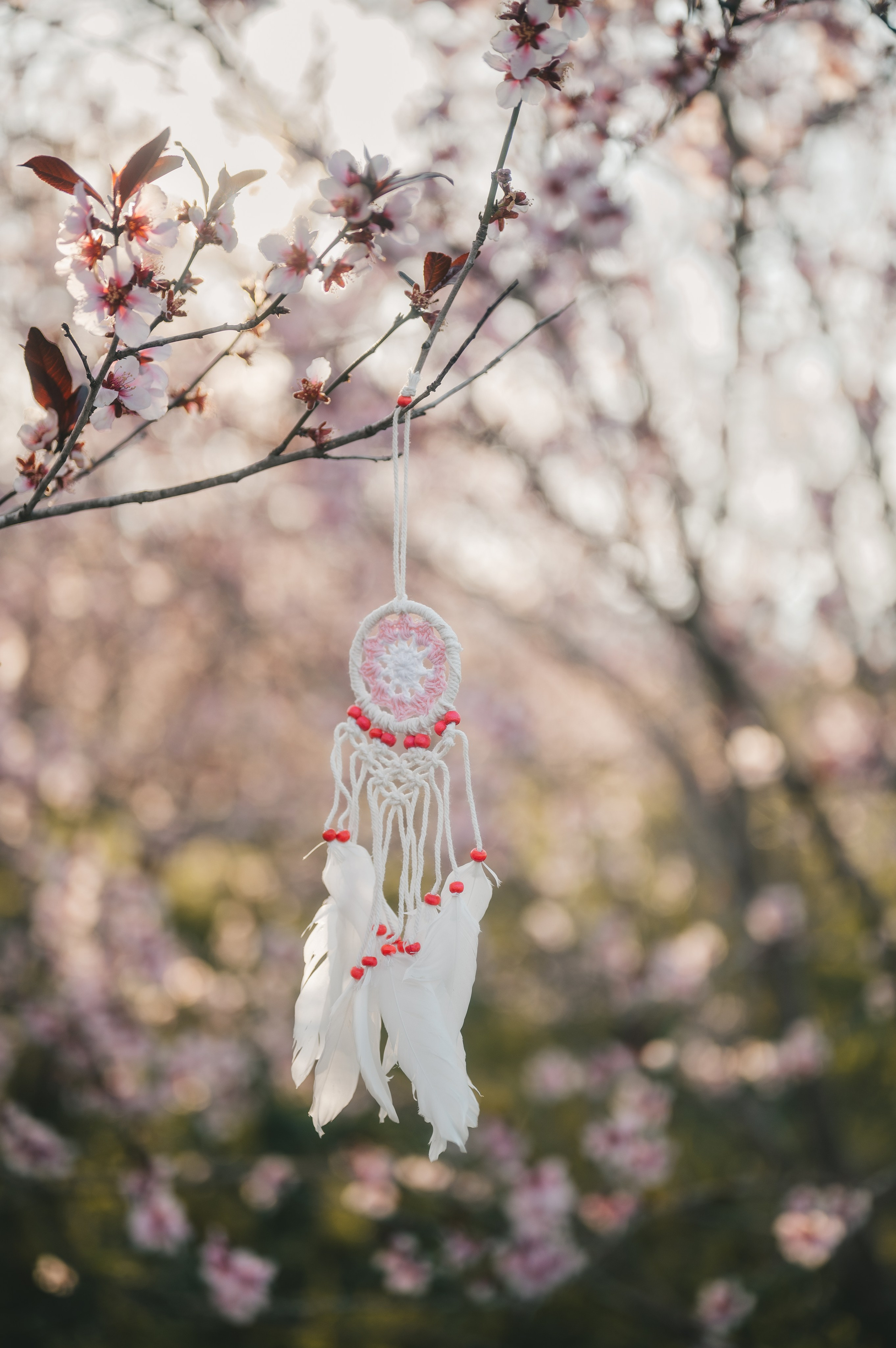 Pink Whispers. Тетяна Малишева - сімейний фотограф і відеограф у Валенсії, Іспанія