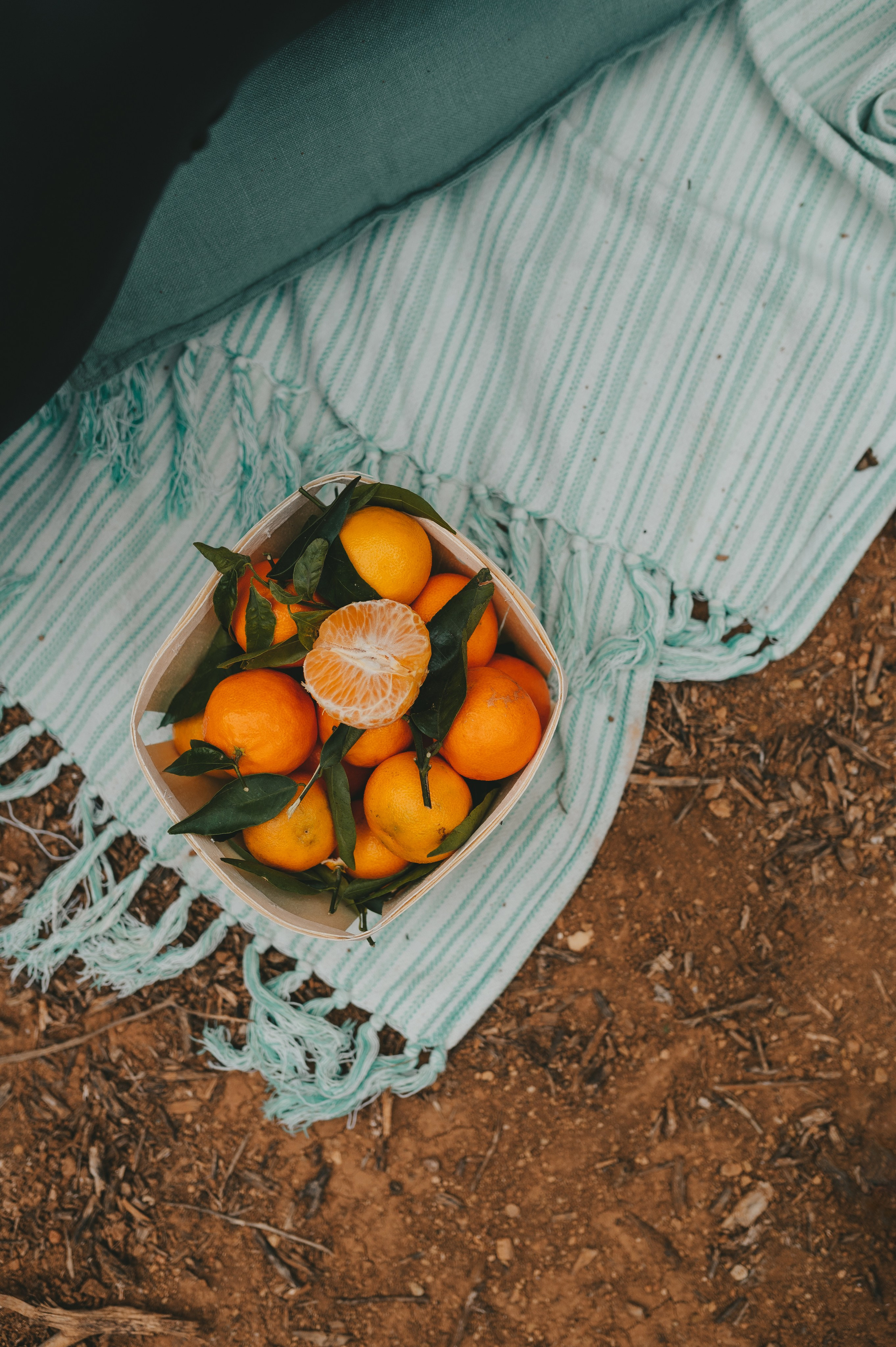 Anna & Eugene. Тетяна Малишева - сімейний фотограф і відеограф у Валенсії, Іспанія