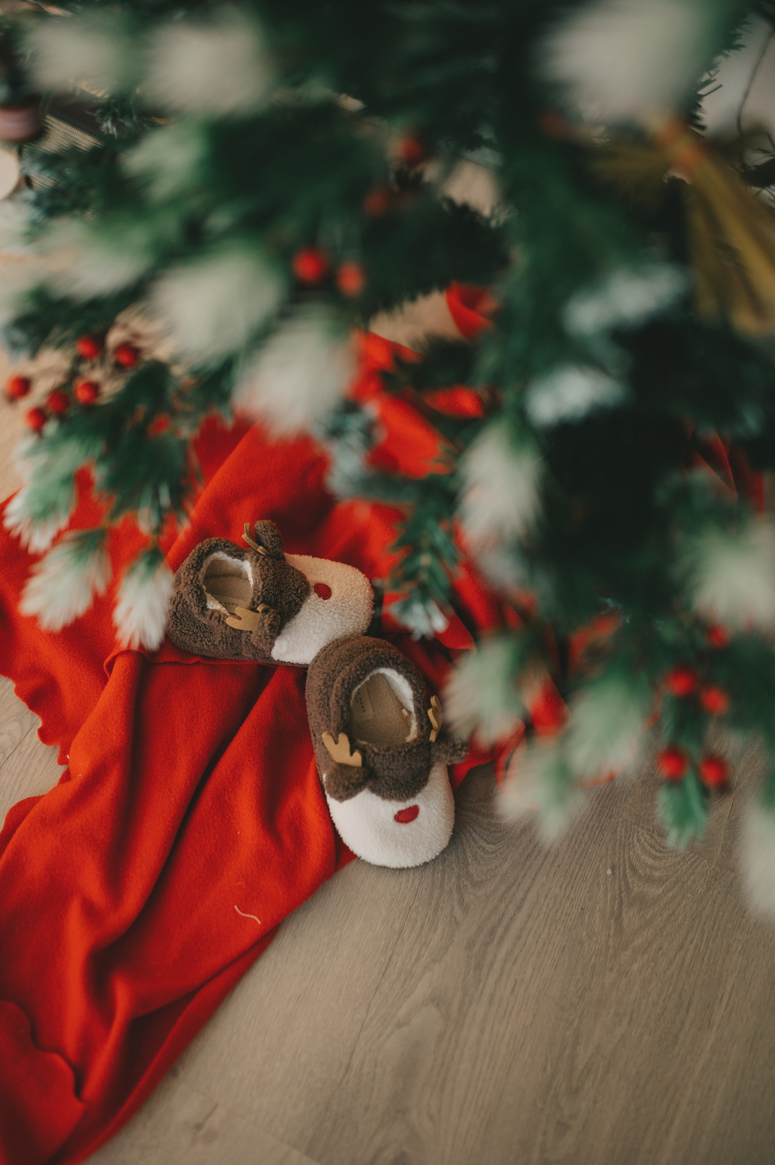 Christmas time. Тетяна Малишева - сімейний фотограф і відеограф у Валенсії, Іспанія