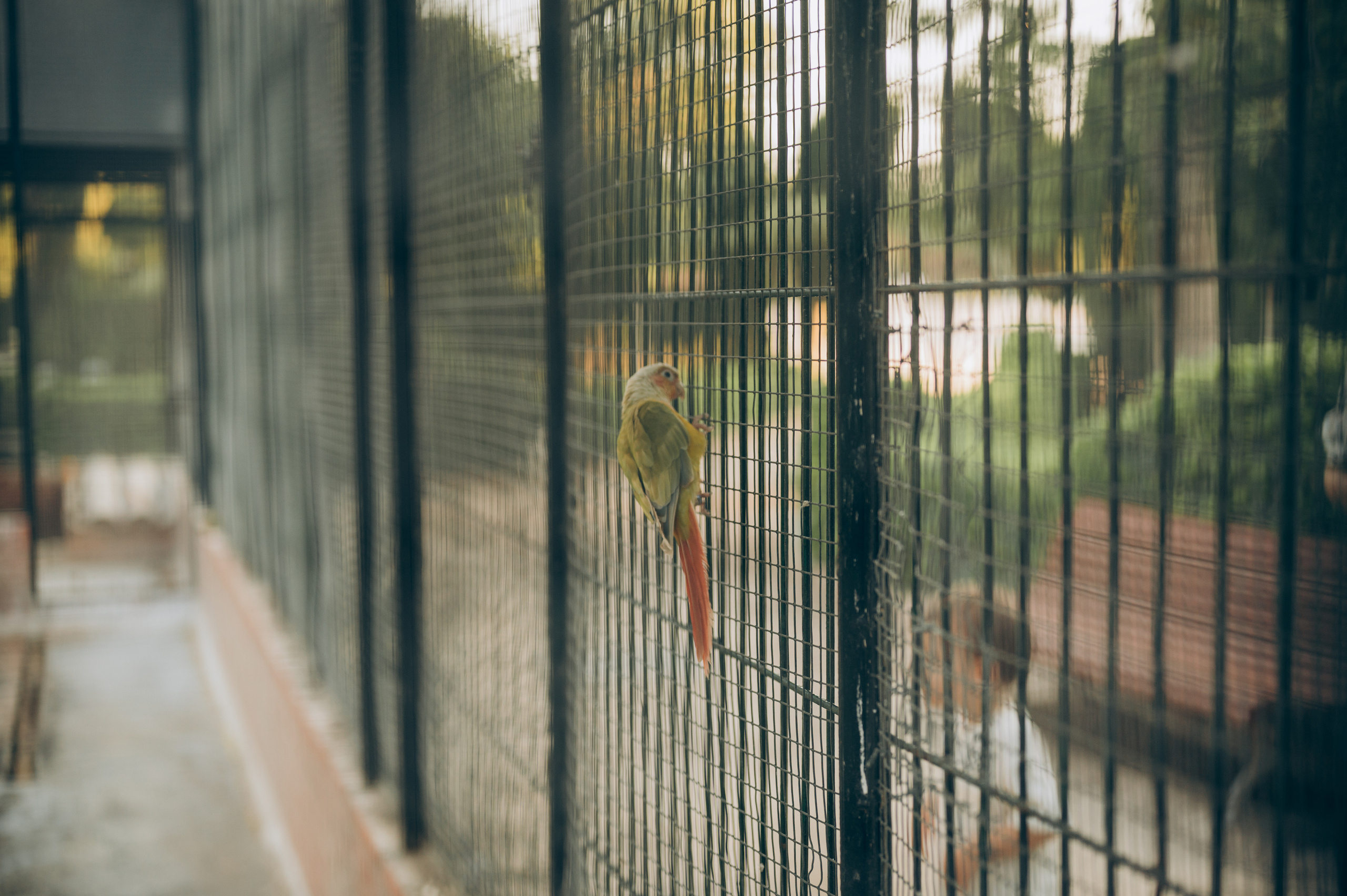 Ivan, Marina, Liza & Tima. Тетяна Малишева - сімейний фотограф і відеограф у Валенсії, Іспанія