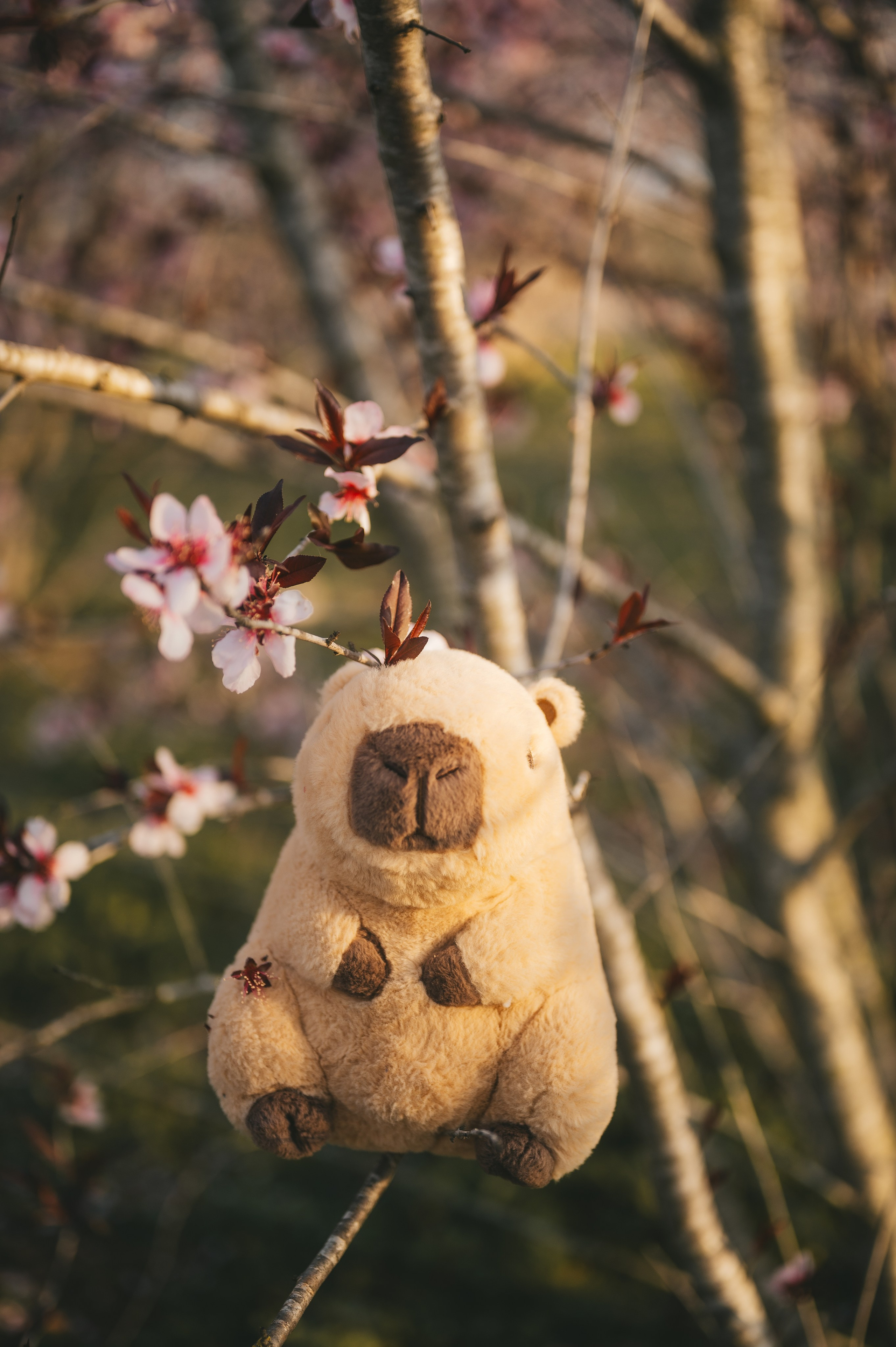 Pink Whispers. Тетяна Малишева - сімейний фотограф і відеограф у Валенсії, Іспанія