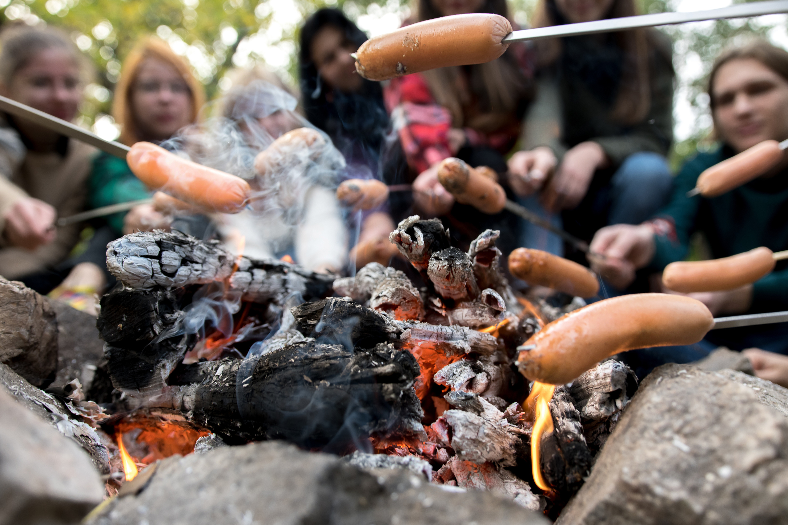 Сичевой коллегиум 11А пикник на Хортице. Випускні альбоми Олега Кононова