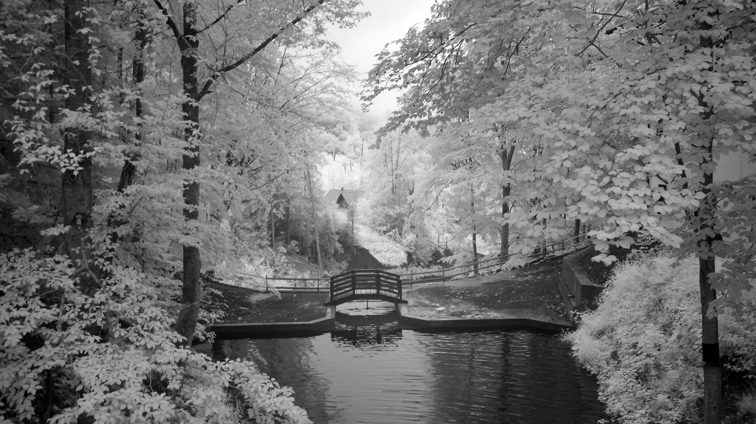 ІнЧе. Архімандрит Симон. Фотограф. Дизайнер. Ілюстратор