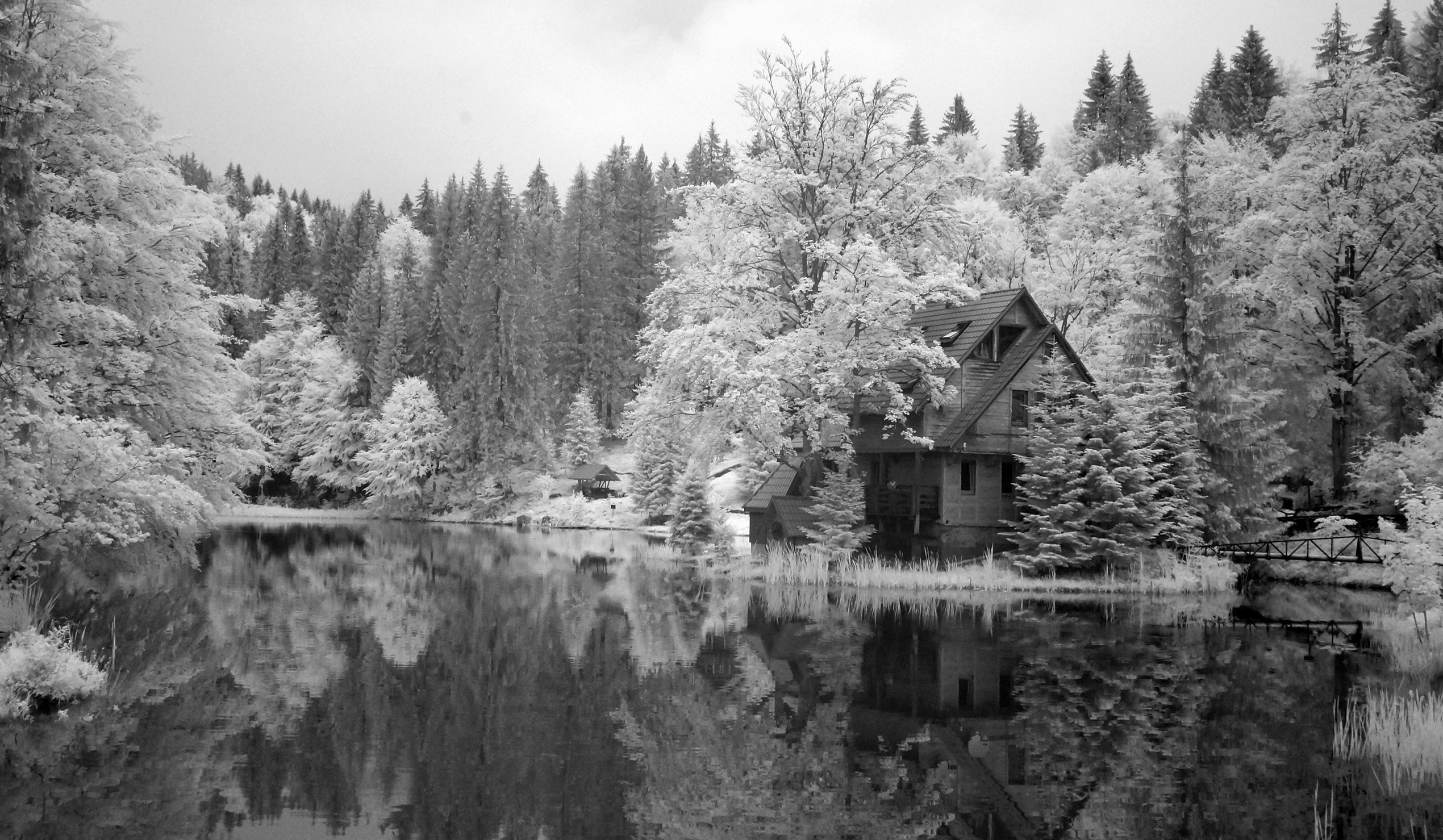 ІнЧе. Архімандрит Симон. Фотограф. Дизайнер. Ілюстратор