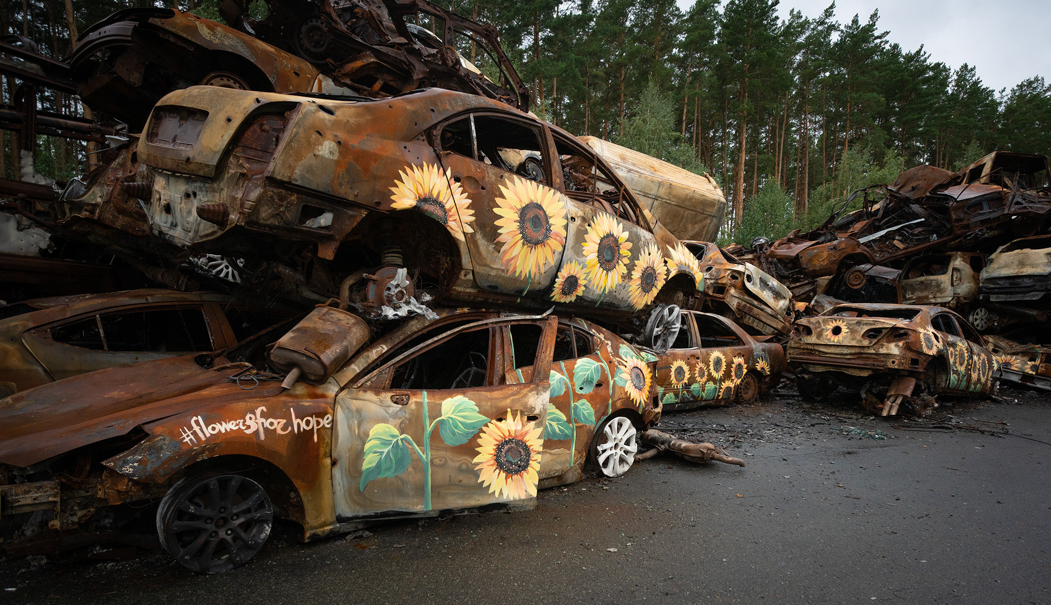БУЧА. Архімандрит Симон. Фотограф. Дизайнер. Ілюстратор