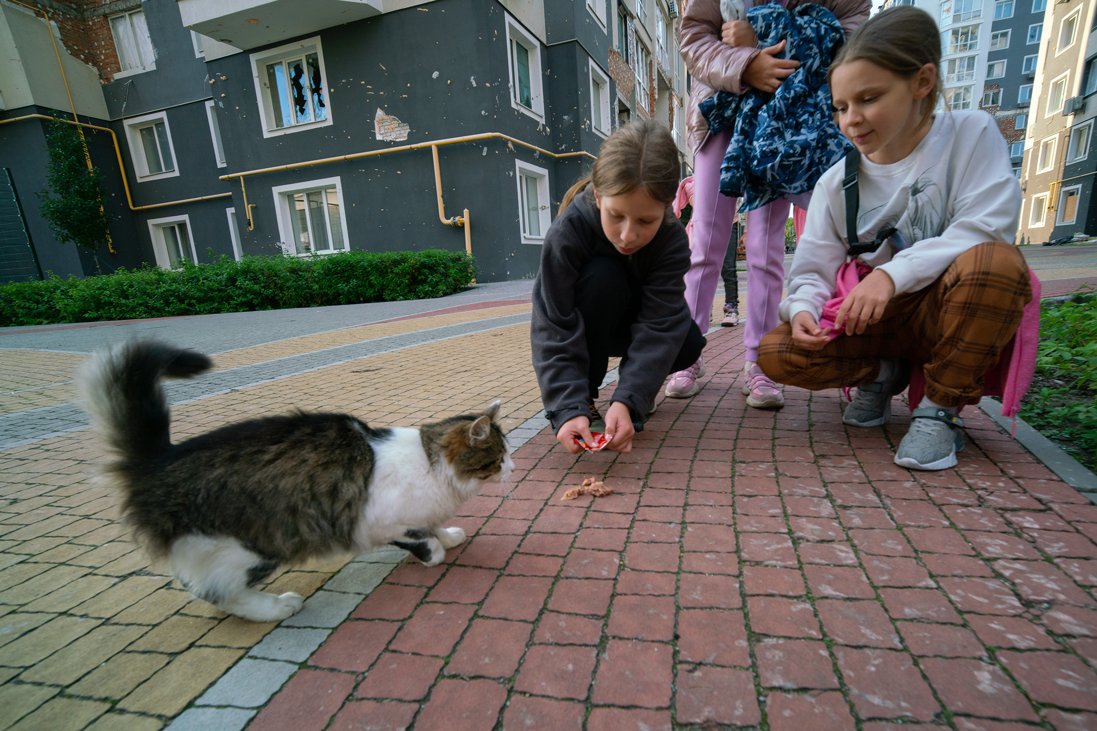 БУЧА. Архімандрит Симон. Фотограф. Дизайнер. Ілюстратор