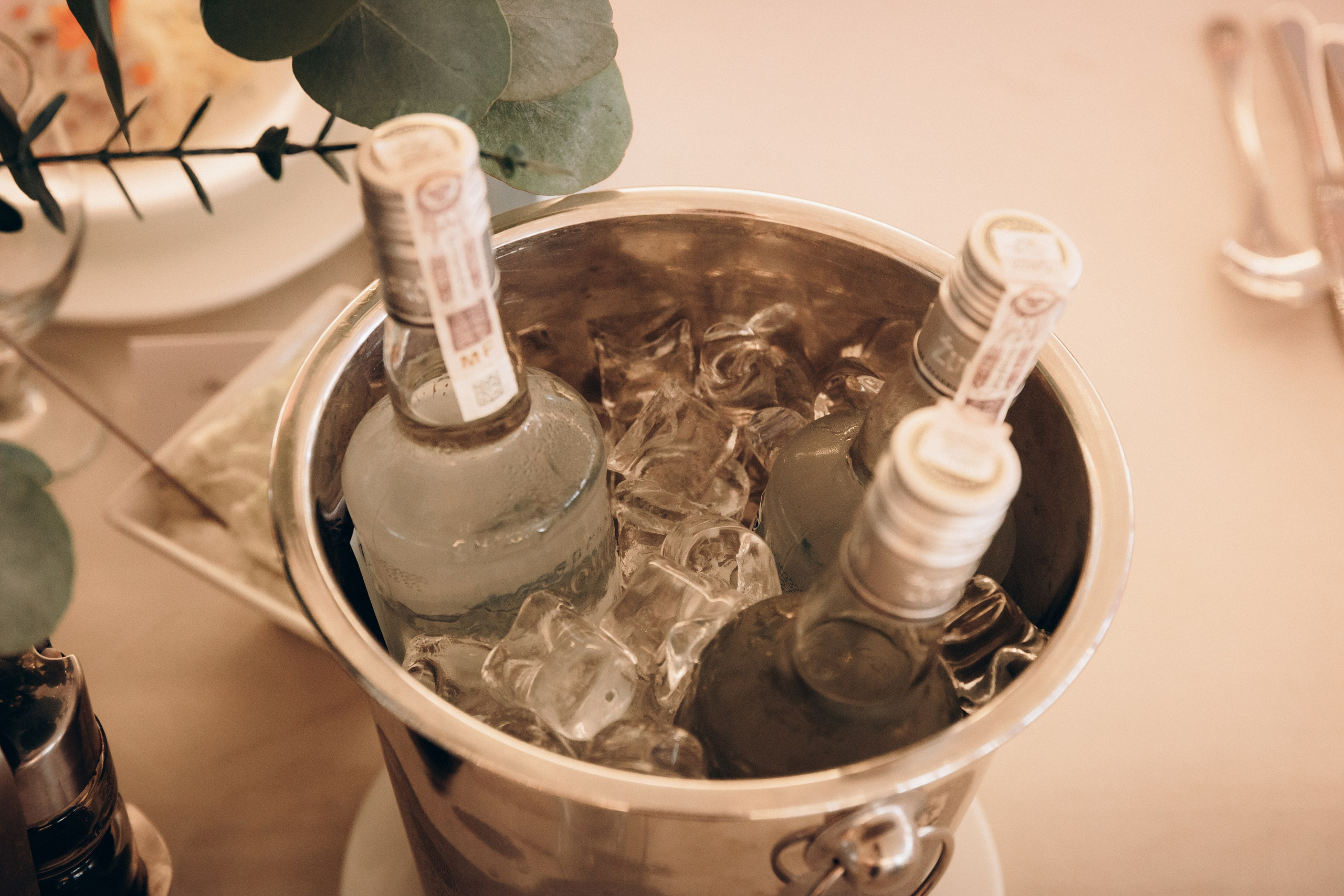 Paulina i Robert. Michał Śmigiel Fotografia