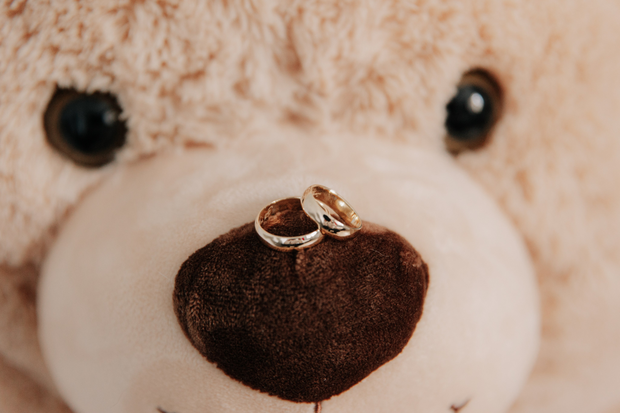 Paulina i Robert. Michał Śmigiel Fotografia