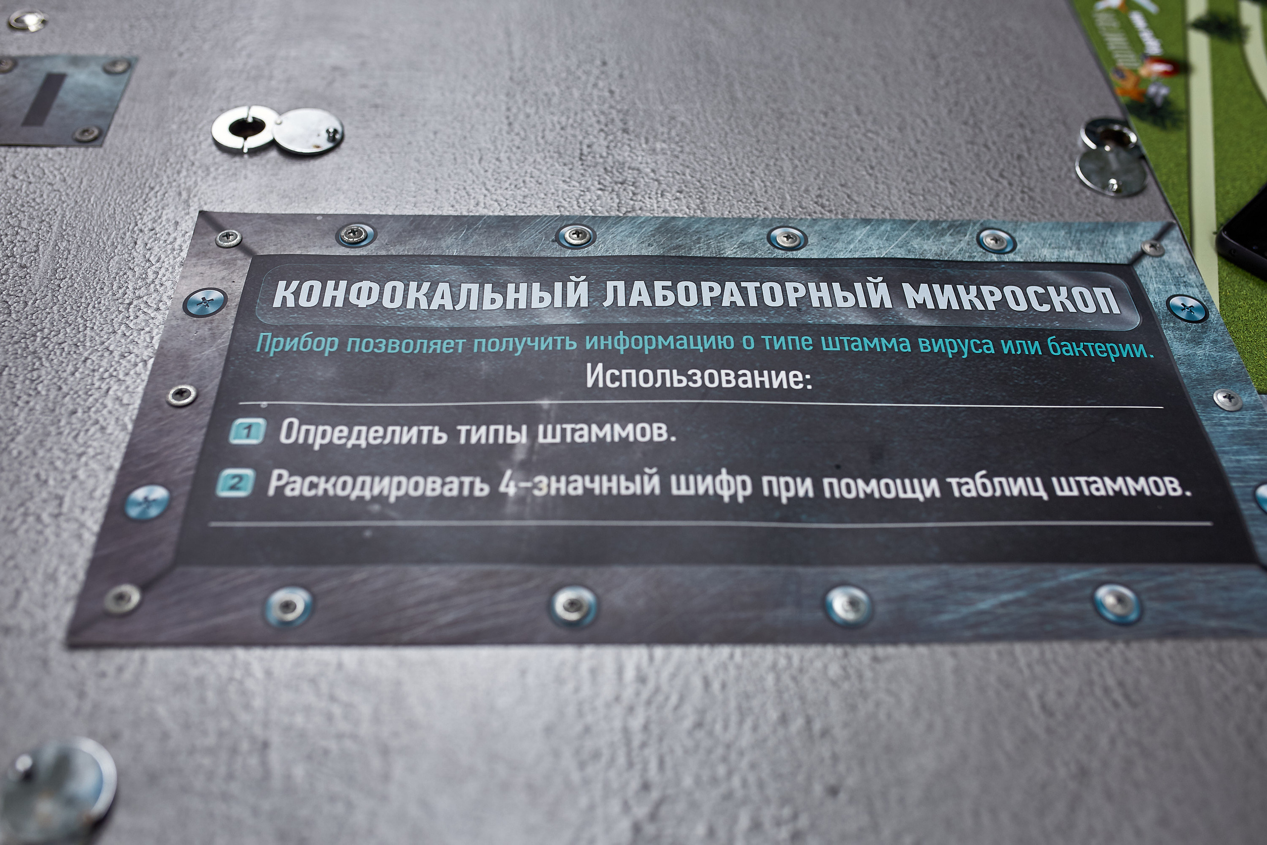 Репортажна фотосессія тимбілдингу для компанії Метінвест Інжинірінг