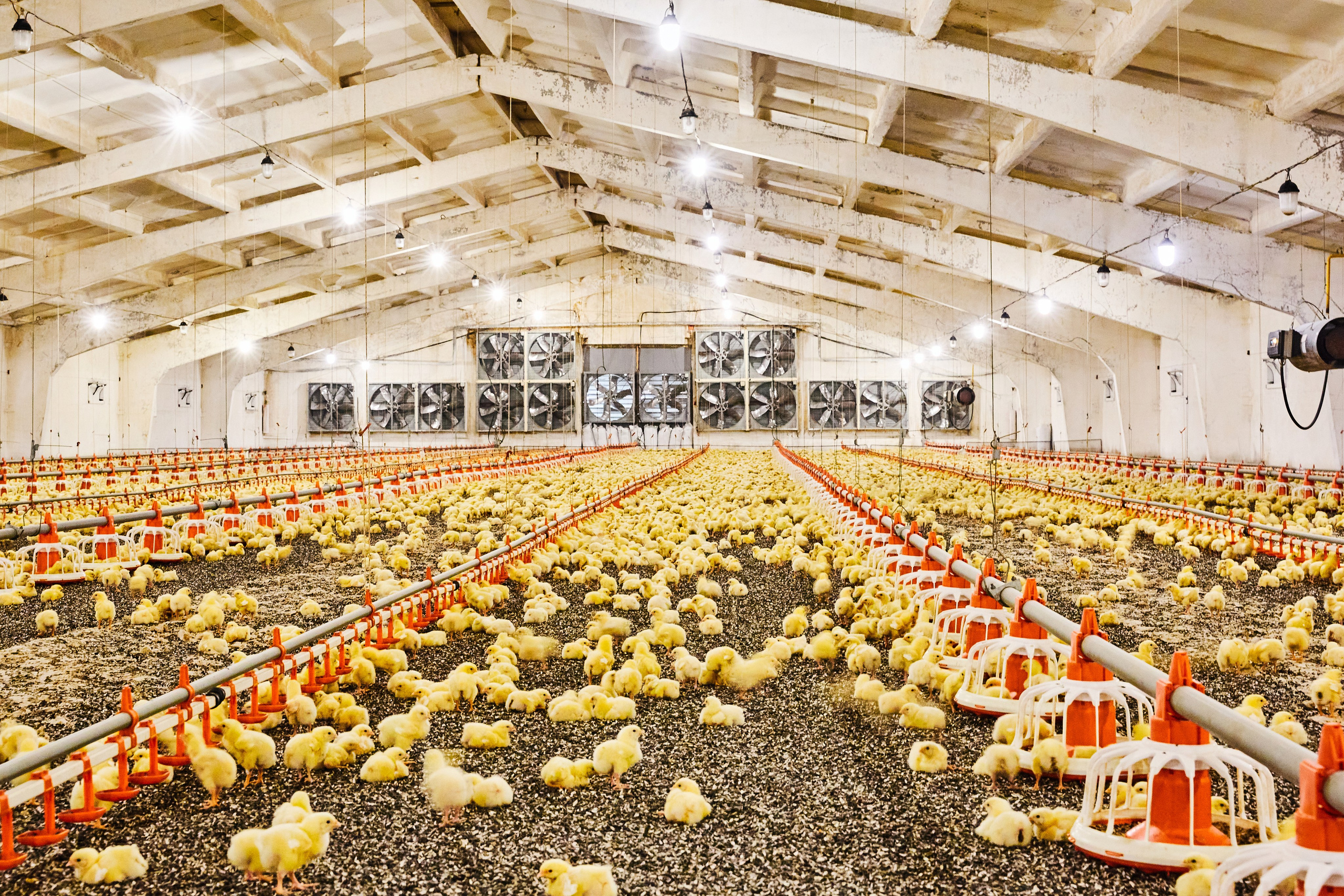 Зйомка Контента Для Інстаграм Та Сайту (Дніпро) Недорого