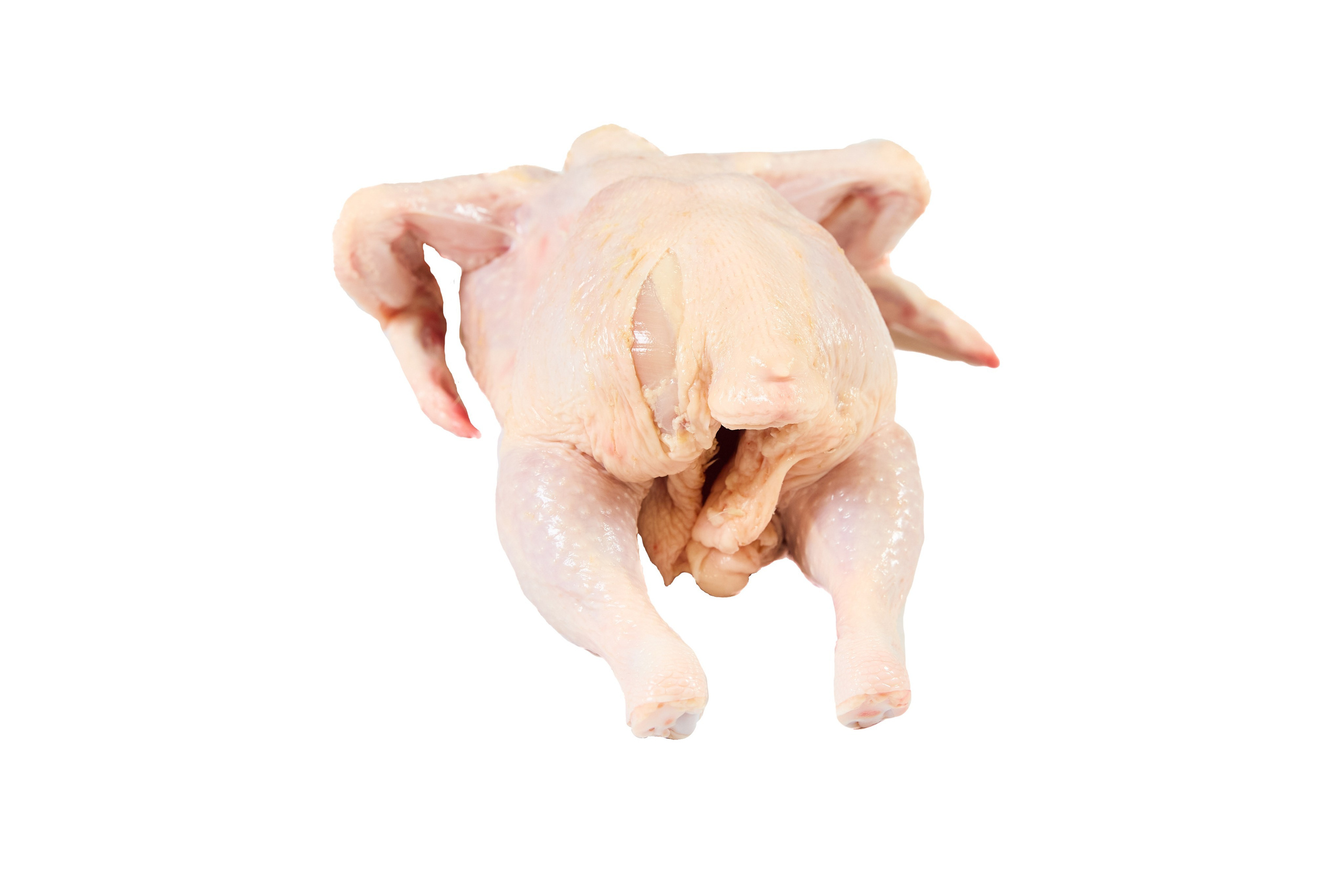 Комплексна фотосессія для товарів для AMAZONE