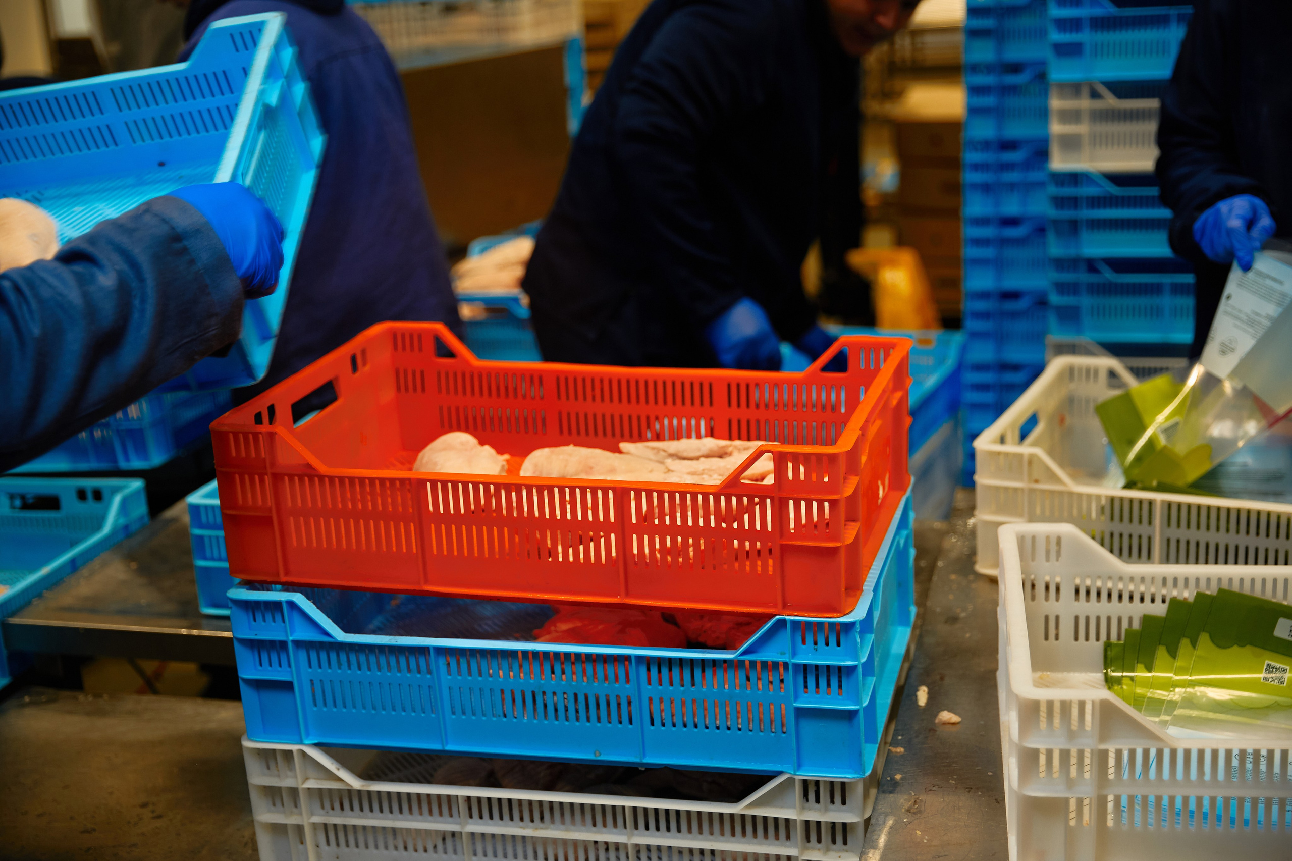 Якісна Контентна Фотосесія (Дніпро) АГПК Дніпровський