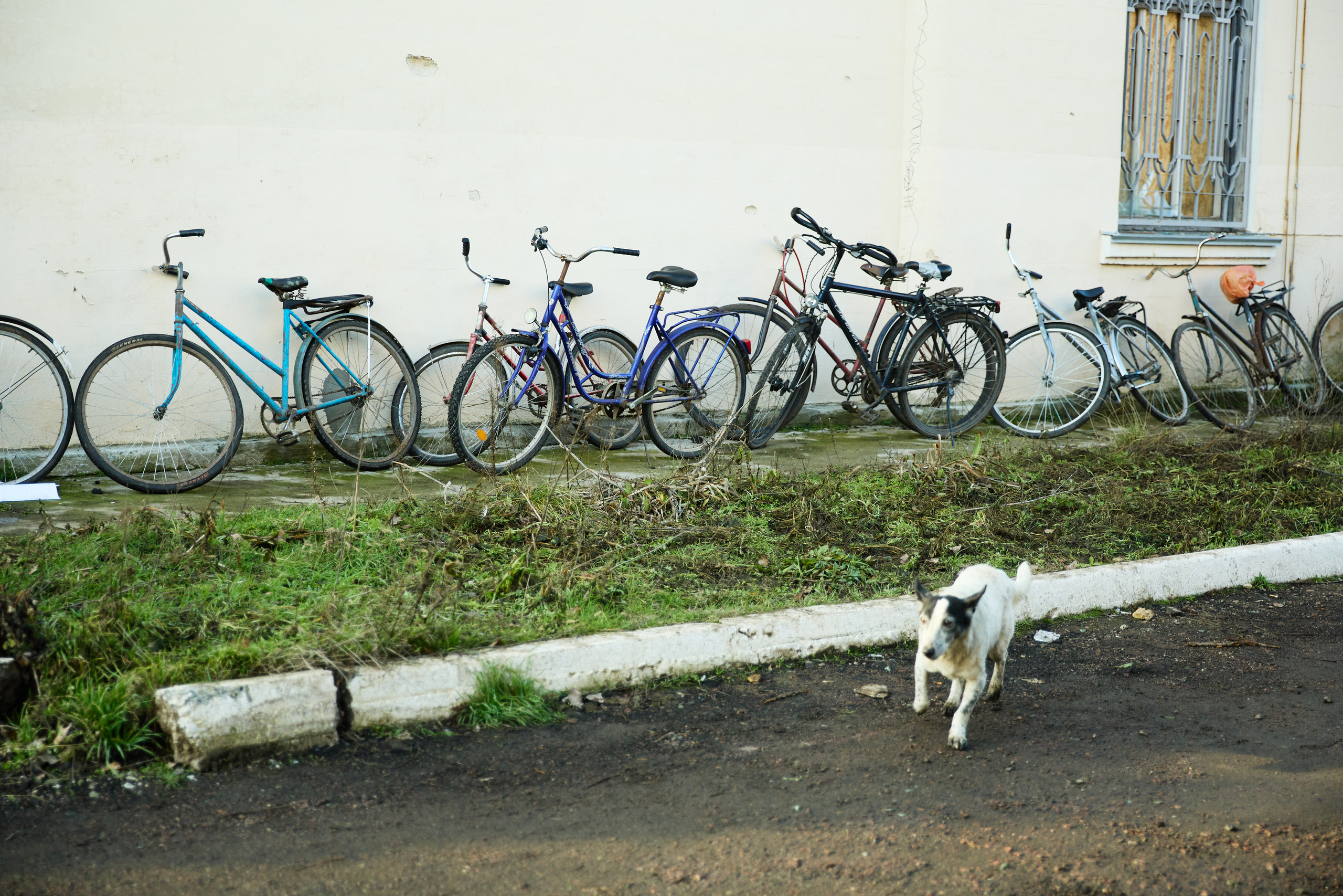 Высокополье Херсонская область. Гуманитарная помощь