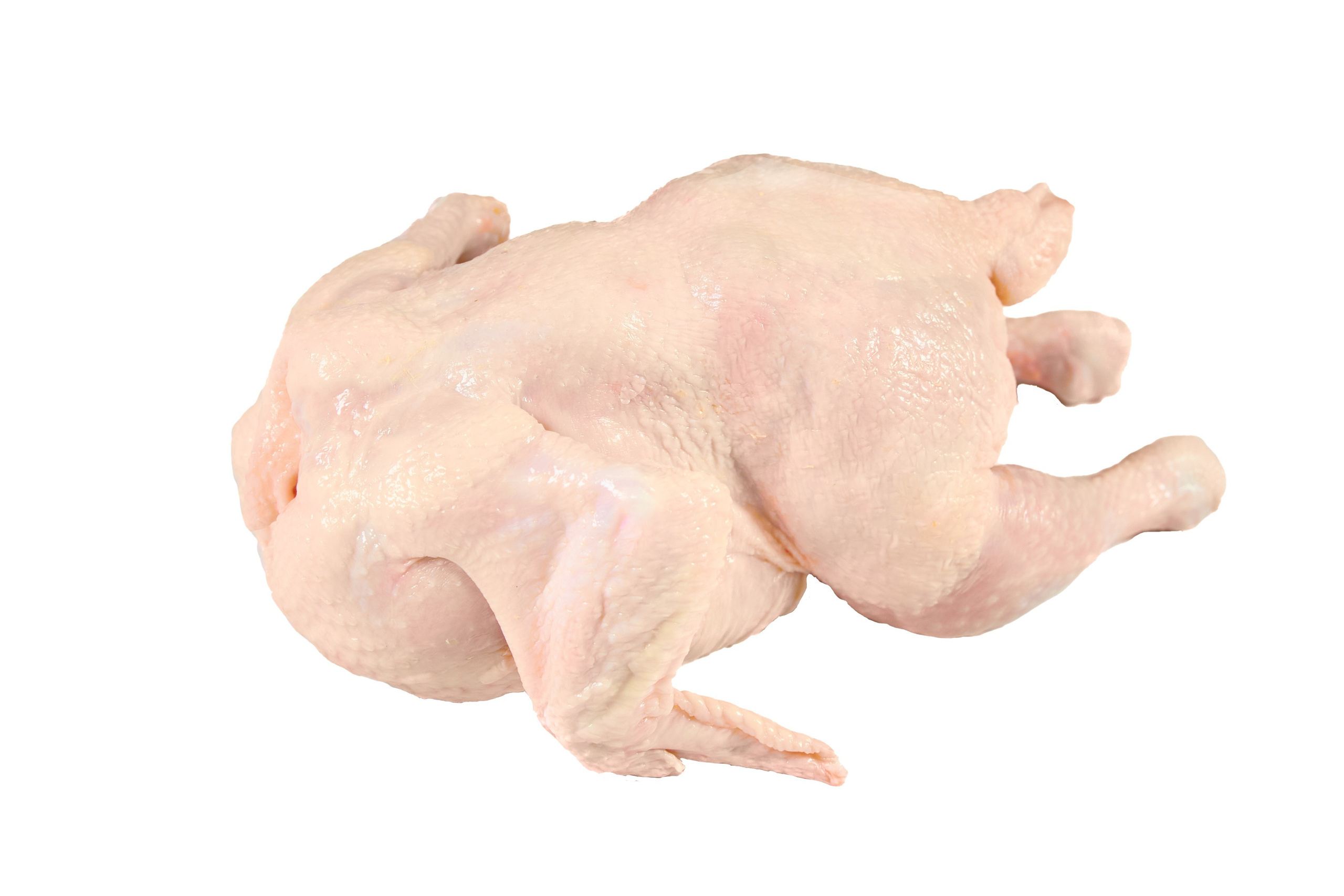 Комплексна фотосессія для товарів для AMAZONE