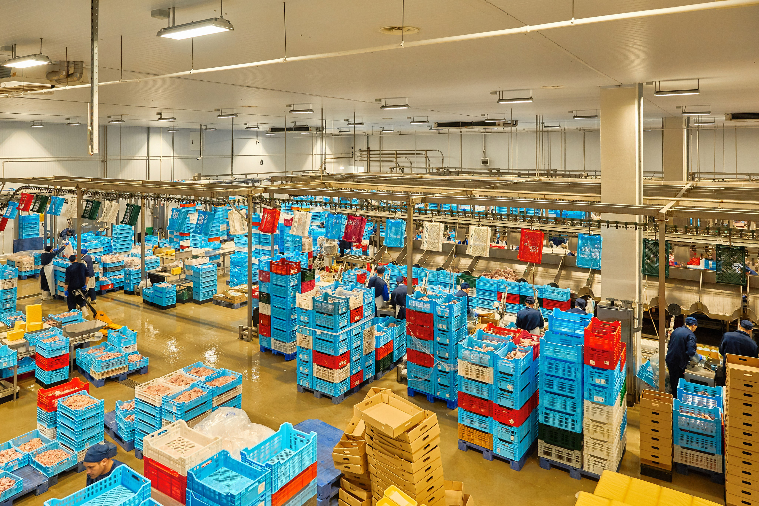 Зйомка Контента Для Інстаграм Та Сайту (Дніпро) Недорого